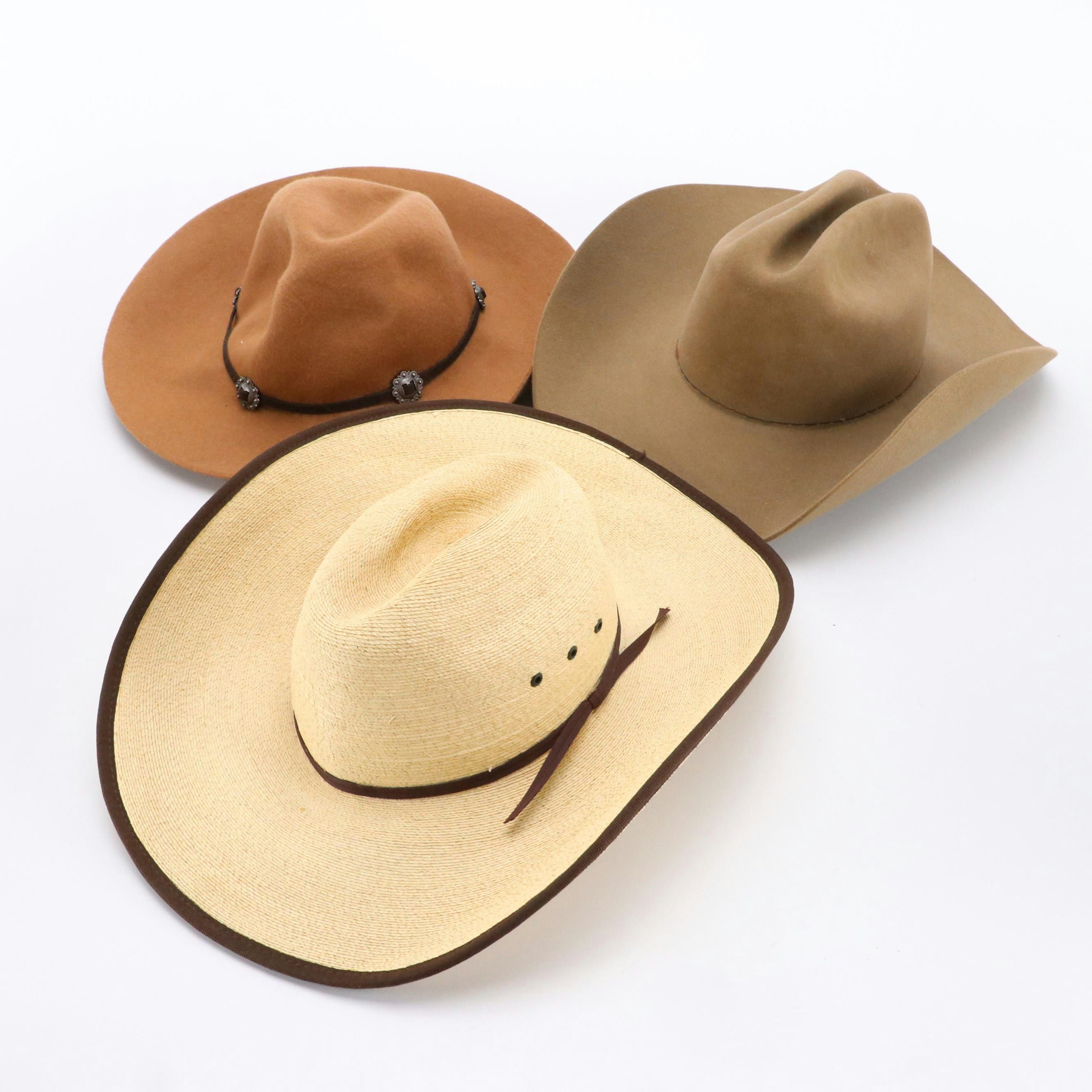 Stetson 6X Beaver Fur Felt Rancher, Hidalgo Straw Hat, Other Wool Felt Hat