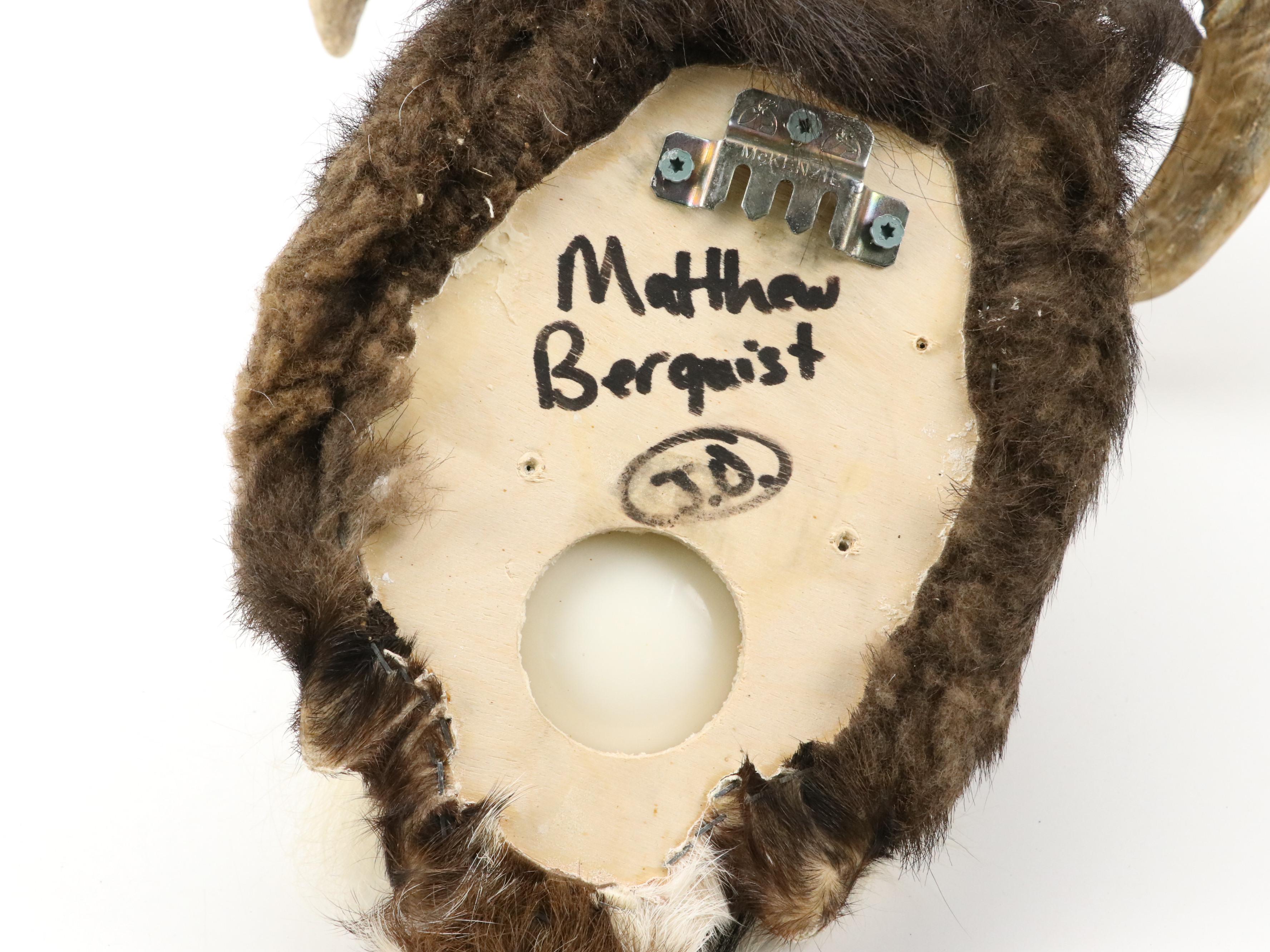 Taxidermy Texas Ram Shoulder Mount