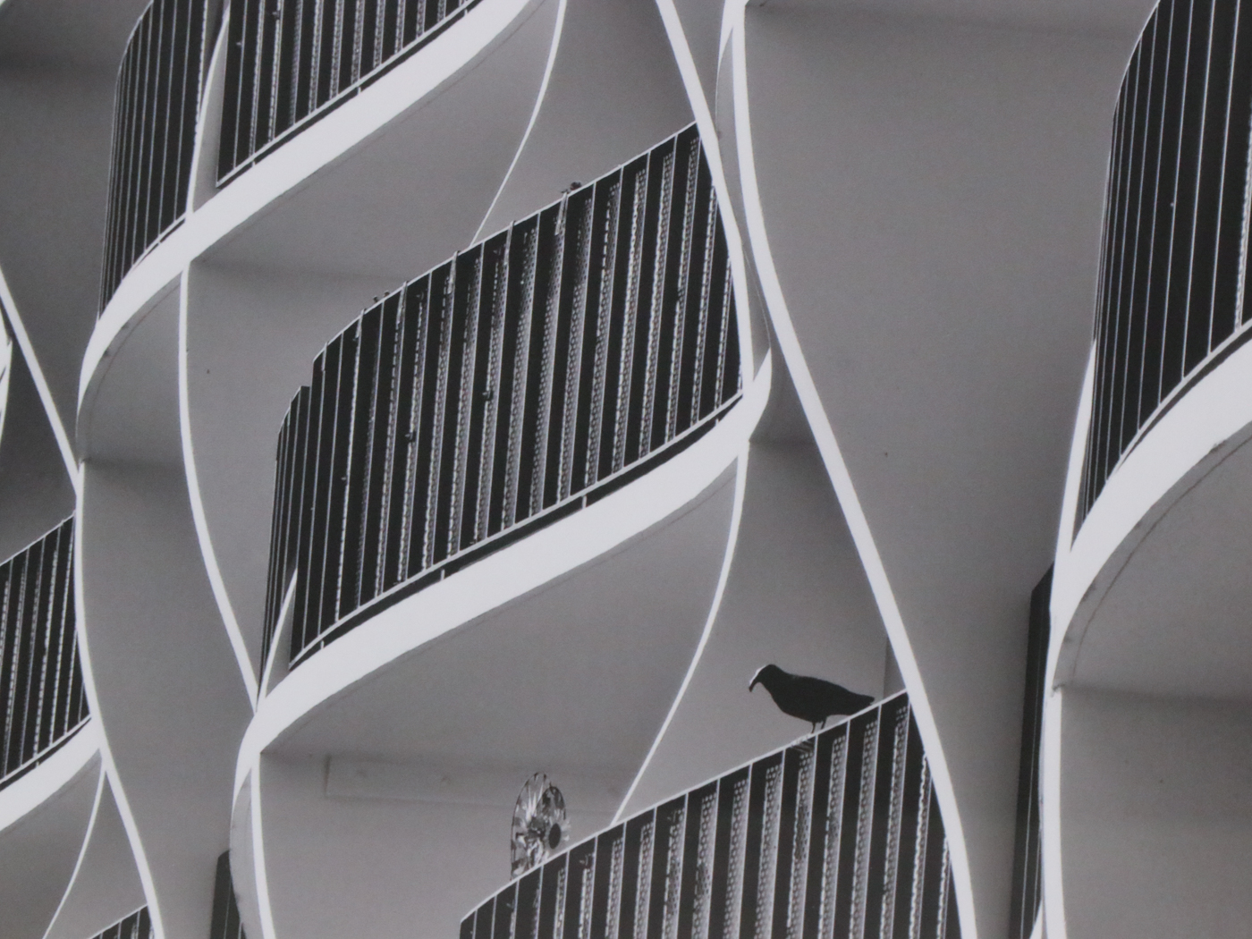 Black and White Digital Photographs of Modern Architecture, Set of Six