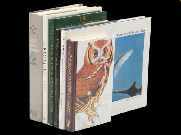 Eclectic Finds: Sports Memorabilia, Toys, Ephemera & Collectibles