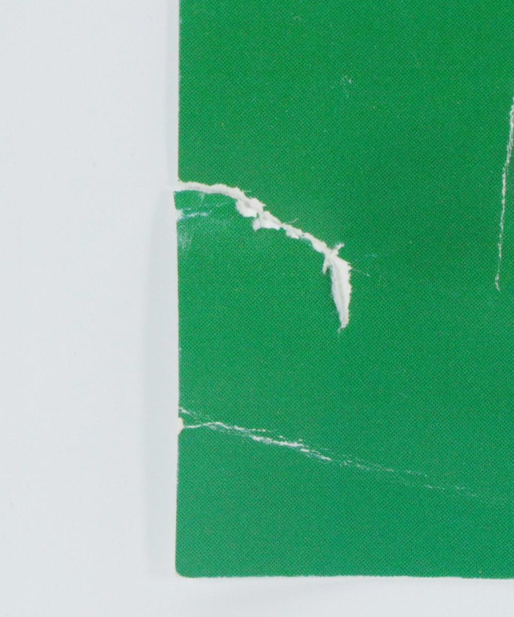 Charley Harper Offset Lithograph "A Day in Eden"