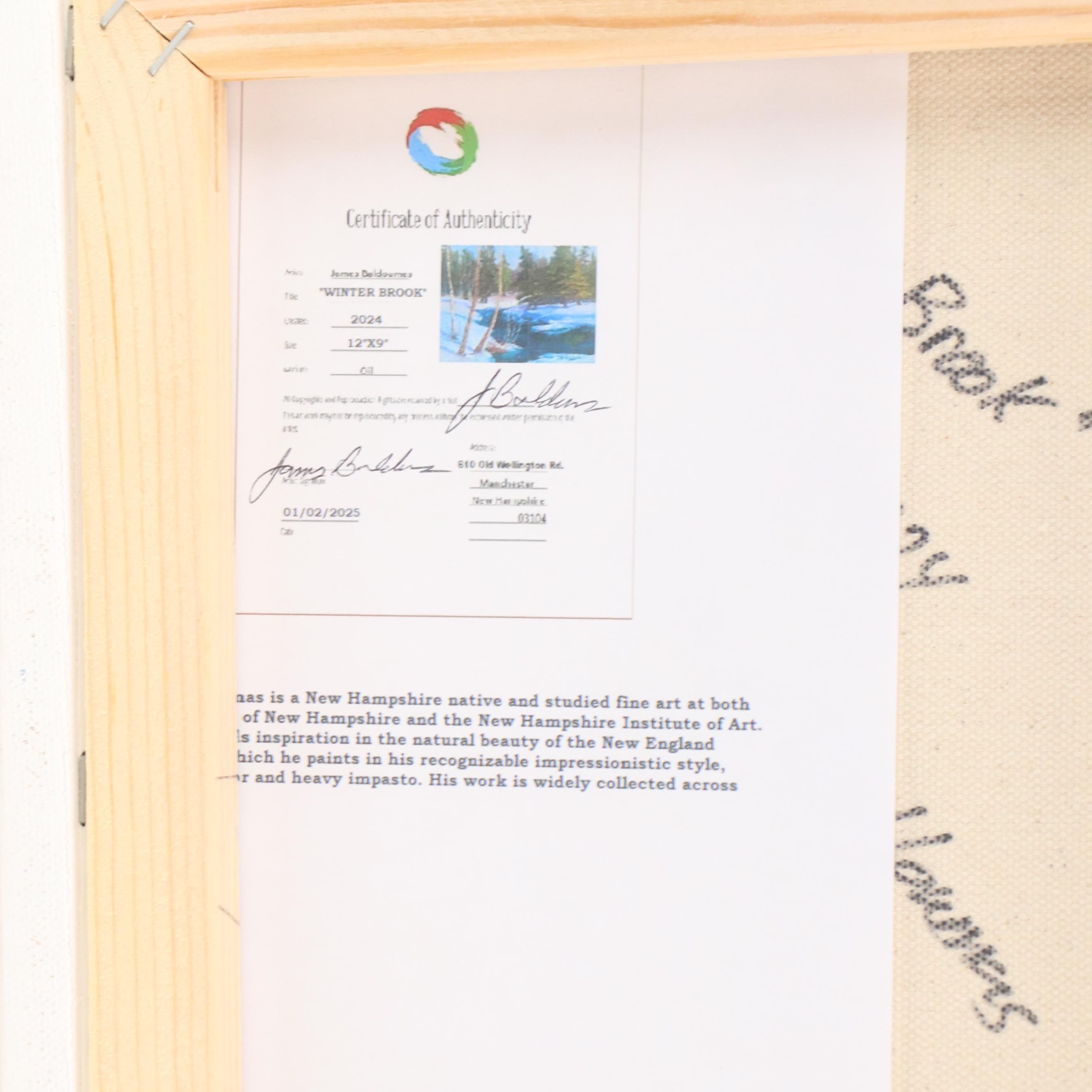 James Baldoumas Landscape Oil Painting "Winter Brook," 2024