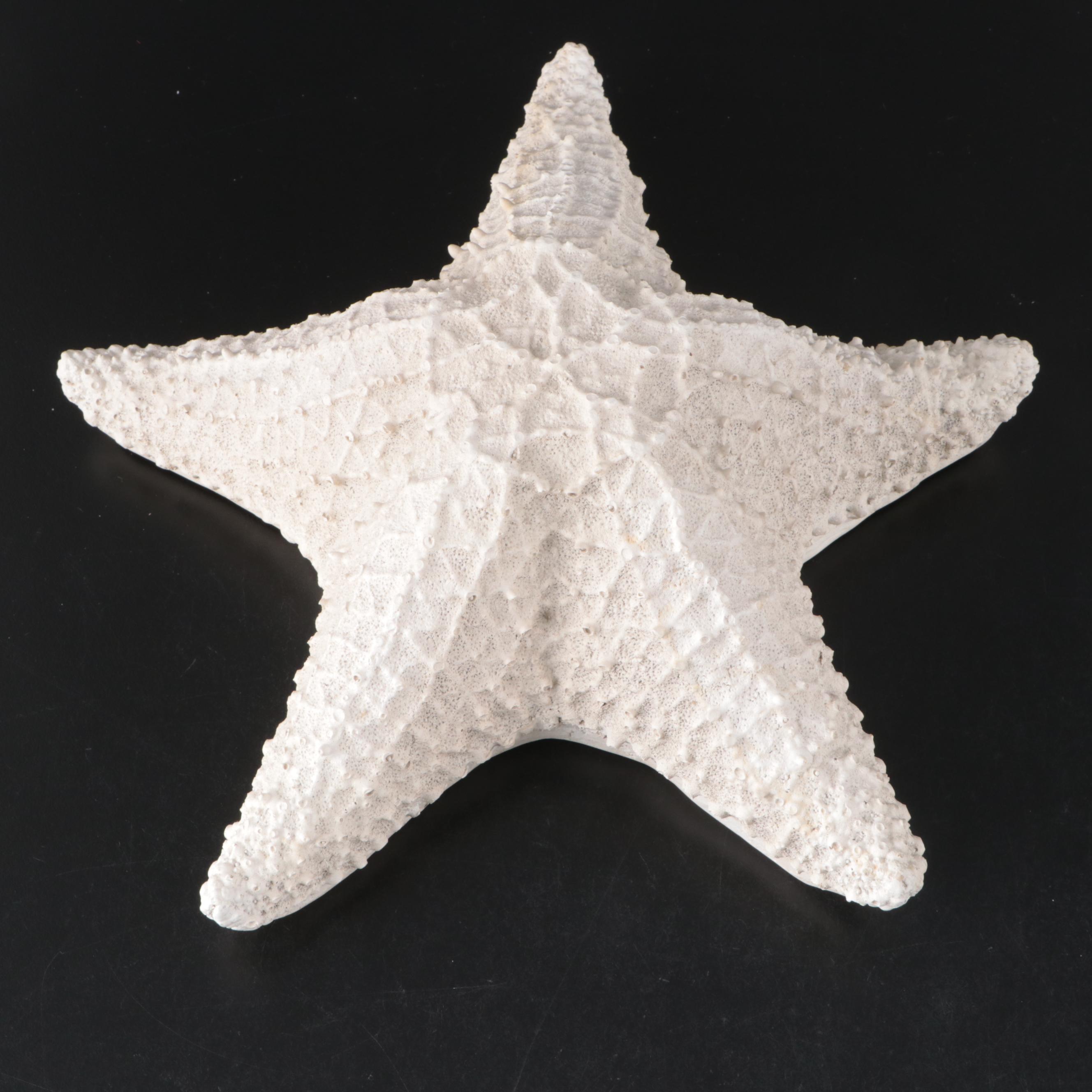 House Parts Inc. Starfish and Other Resin Nautical Figurines