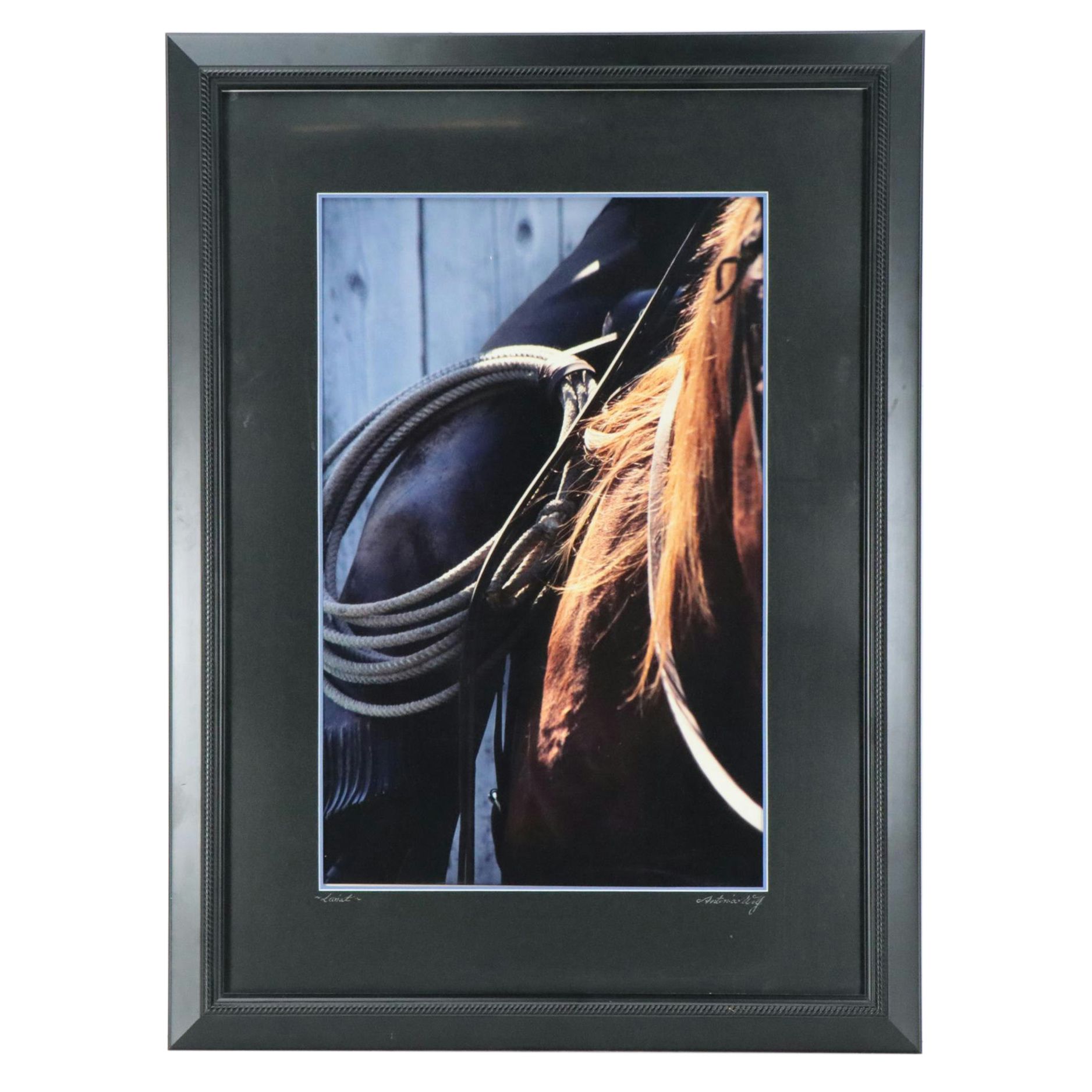 Antonia Wolf Chromogenic Print "Lariat"