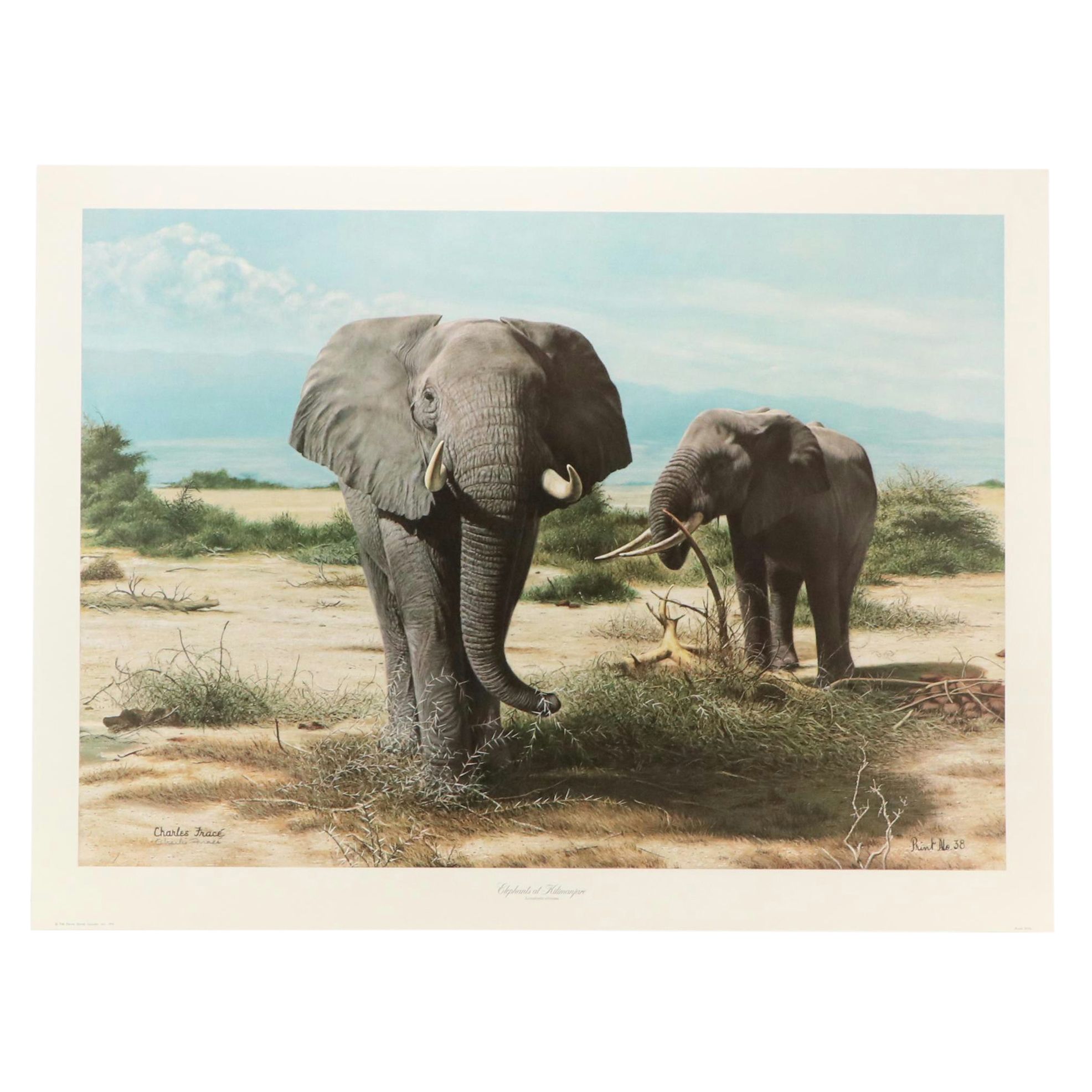 Charles Fracé Offset Lithograph "Elephants at Kilimanjaro," Circa 1976