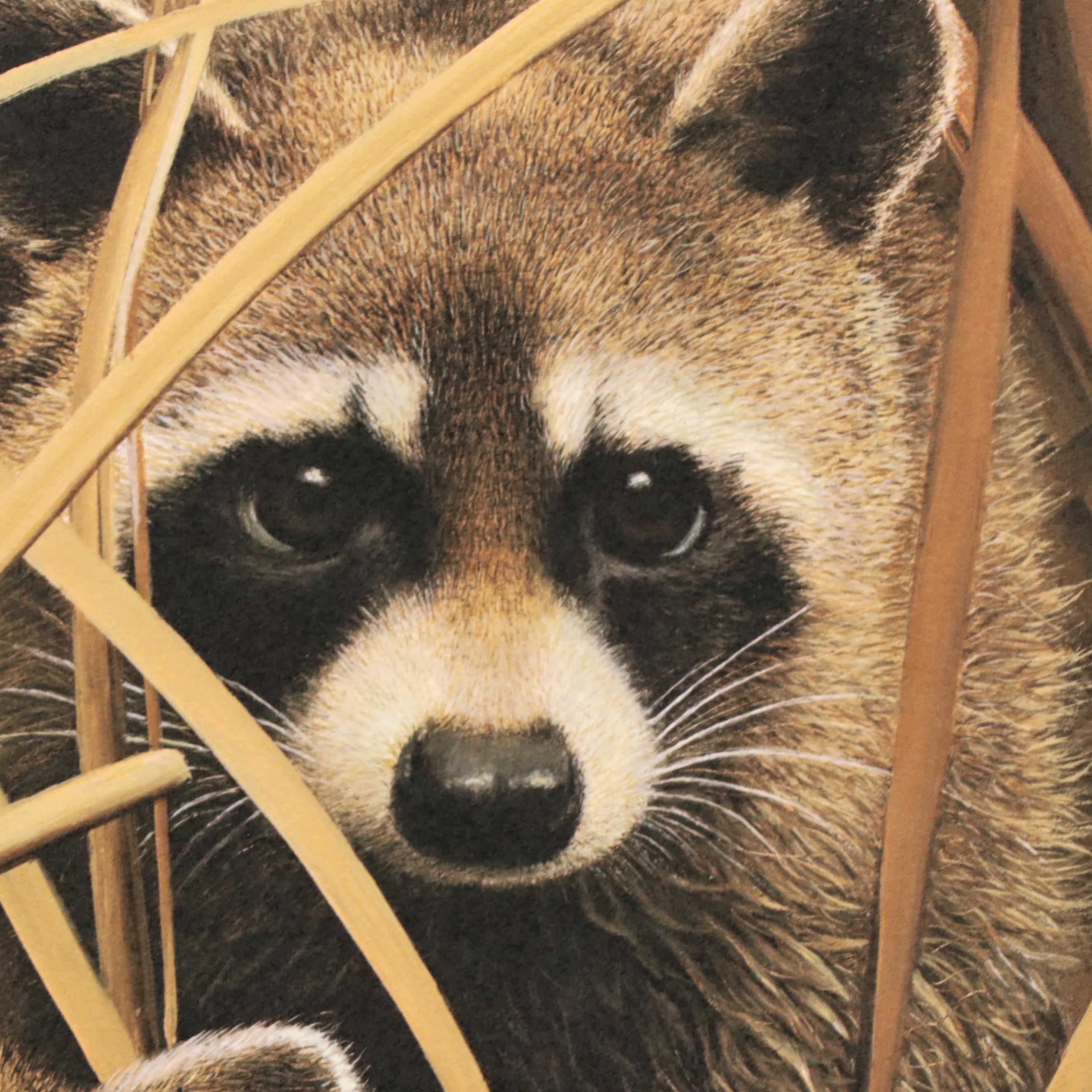 Charles Fracé Offset Lithograph "Raccoon," Circa 1978