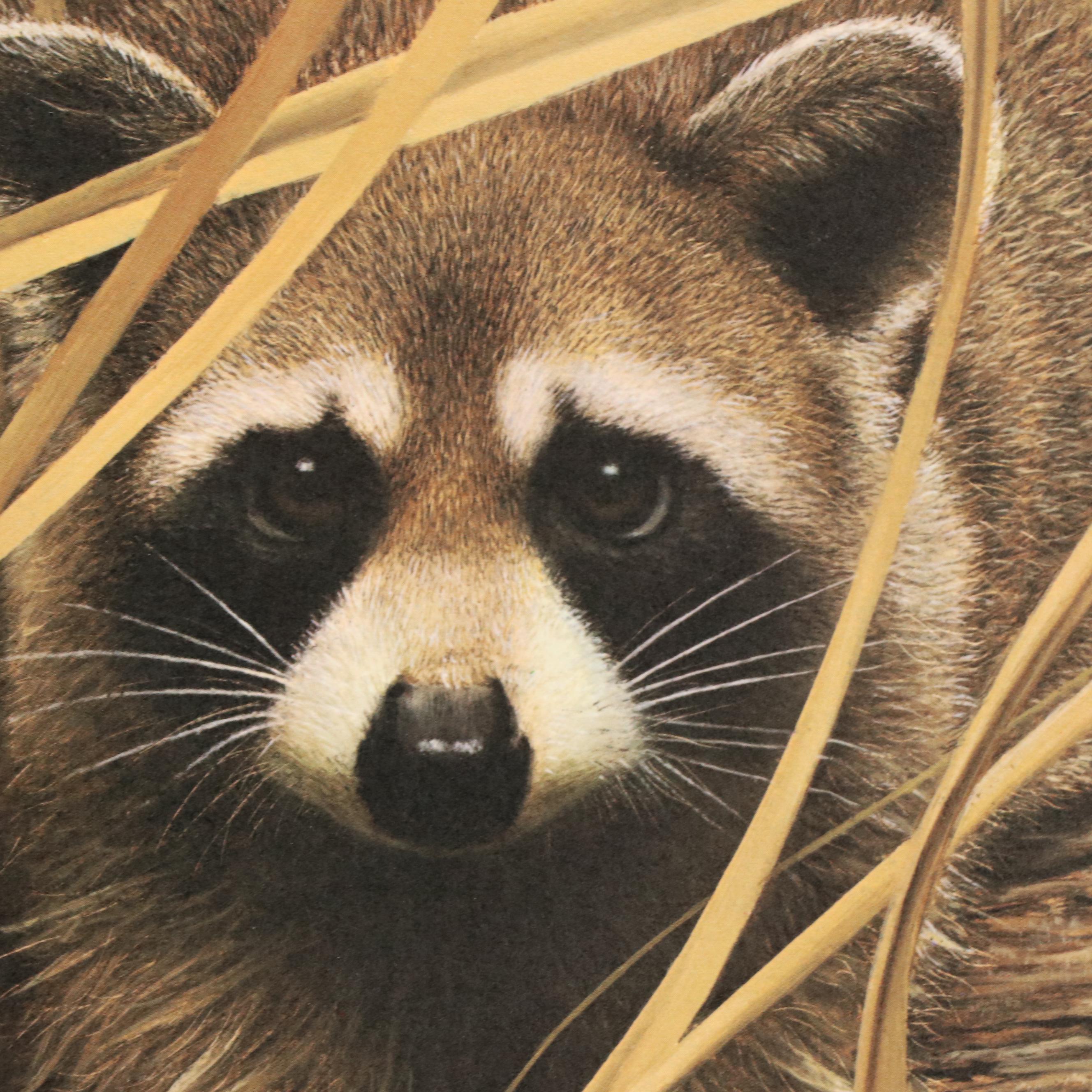Charles Fracé Offset Lithograph "Raccoon," Circa 1978