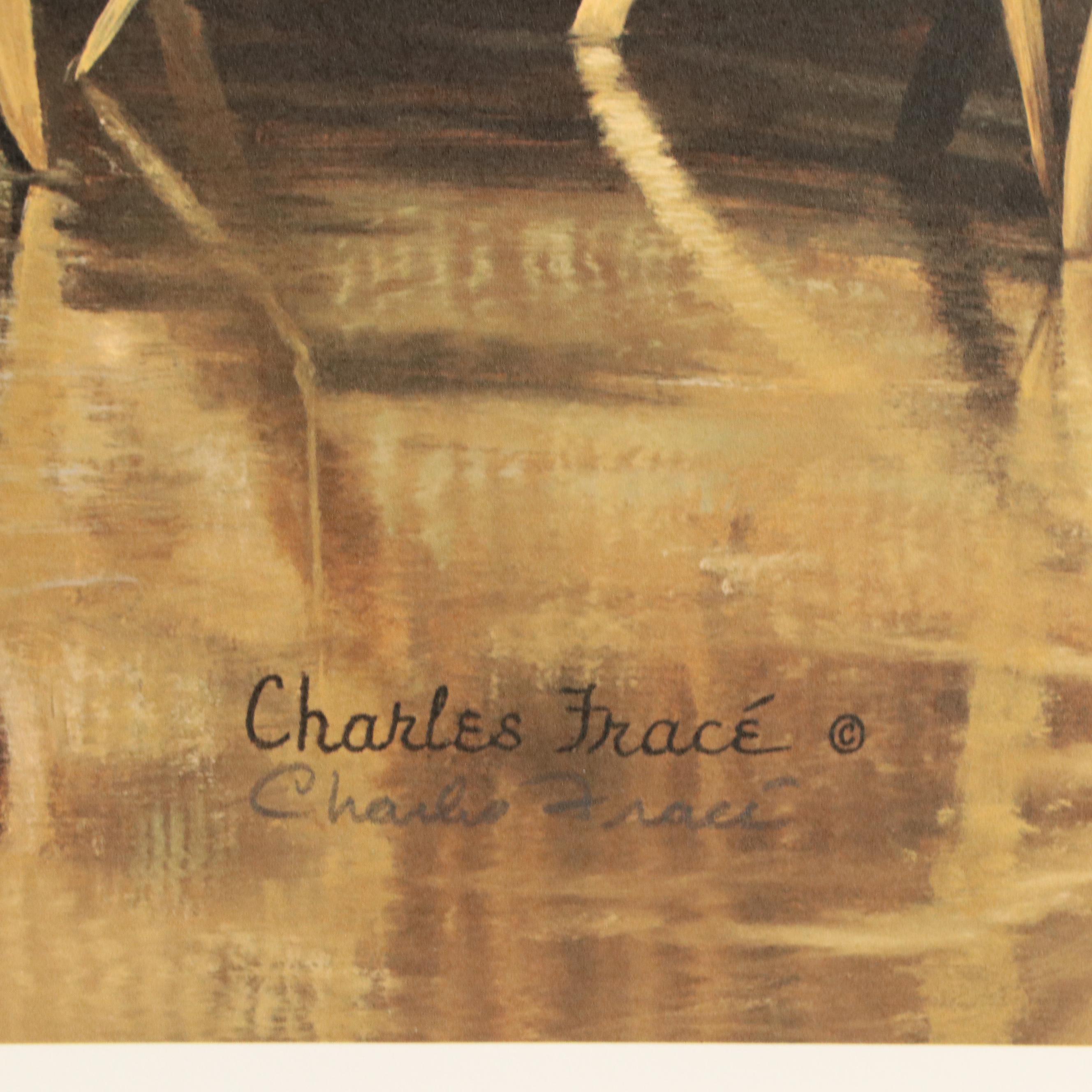 Charles Fracé Offset Lithograph "Raccoon," Circa 1978