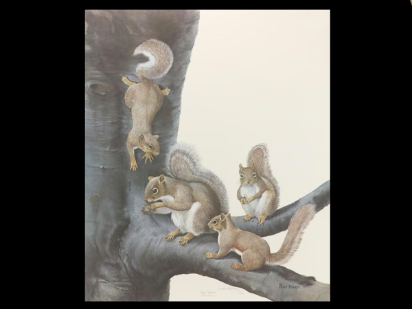 Inspired by Nature & The Animal Kingdom