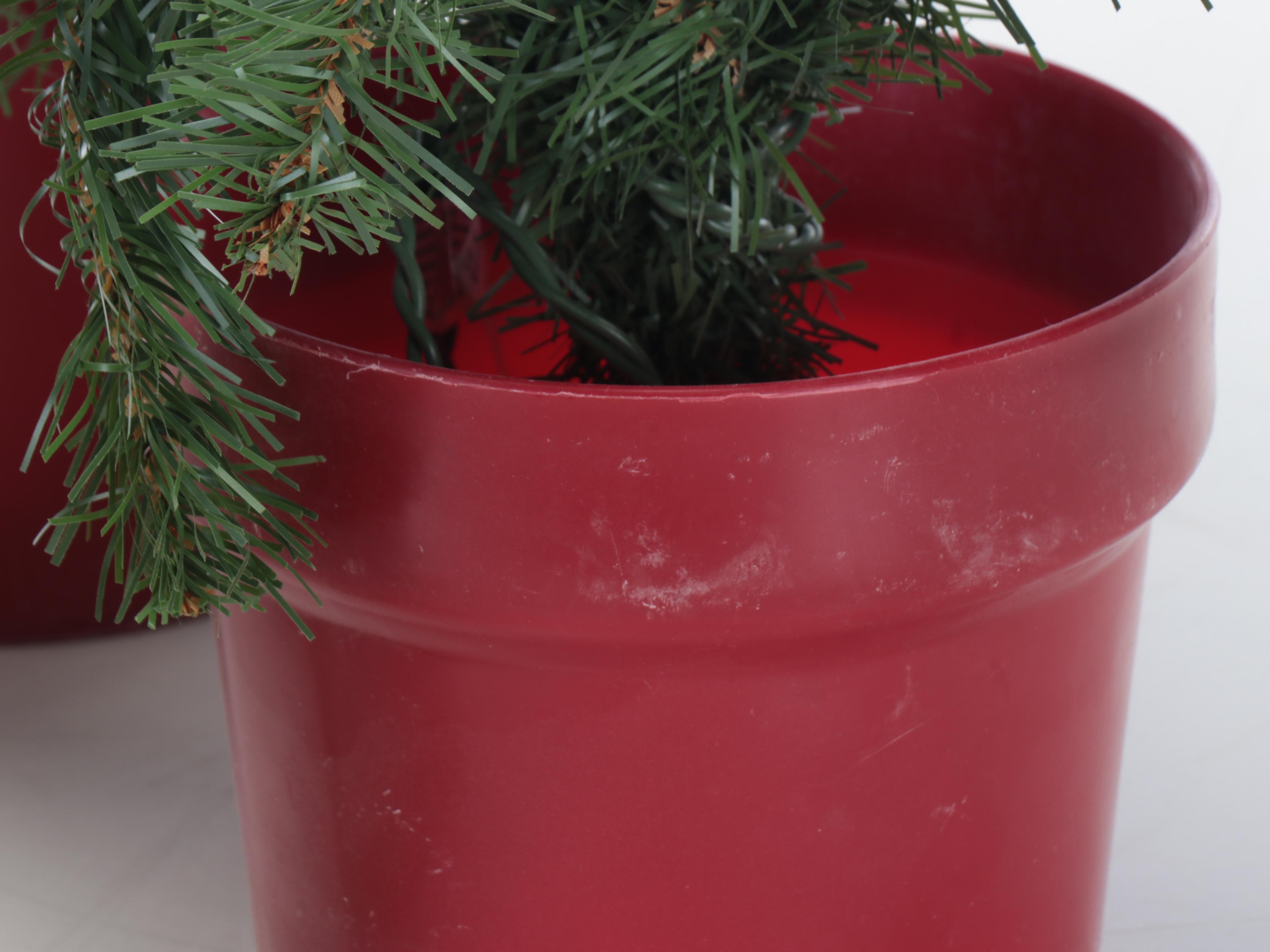 Set of Four Miniature Illuminated Evergreen Trees