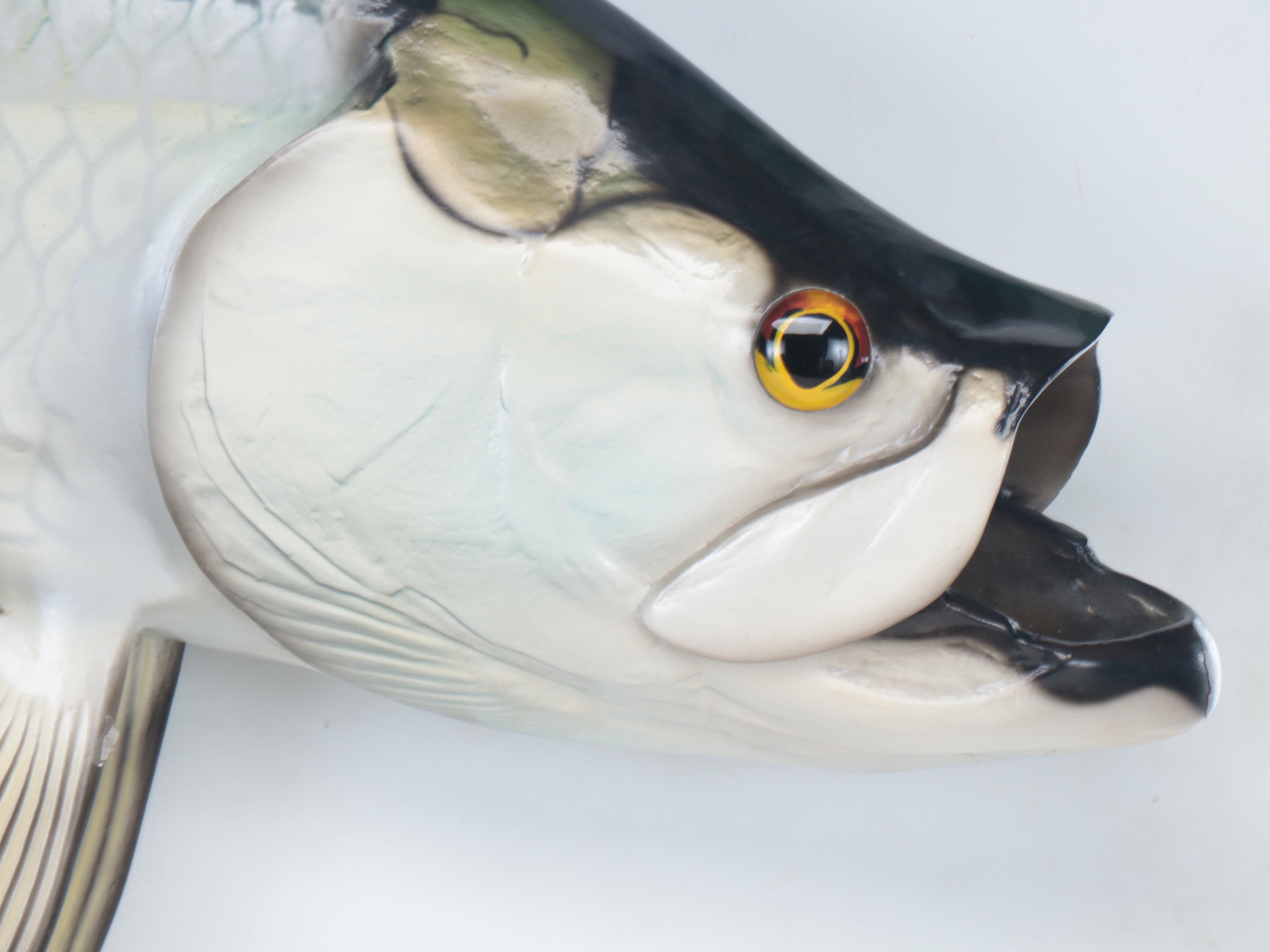 Atlantic Tarpon Fiberglass Gamefish Trophy Wall Mount