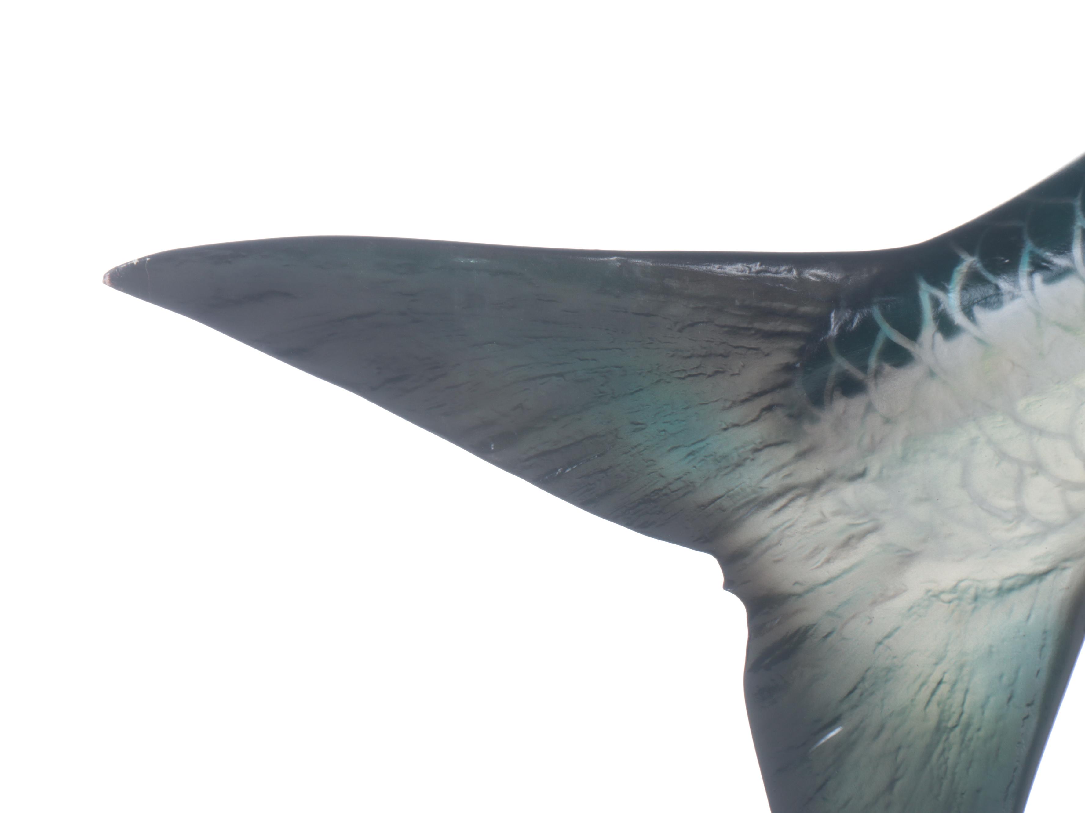 Atlantic Tarpon Fiberglass Gamefish Trophy Wall Mount