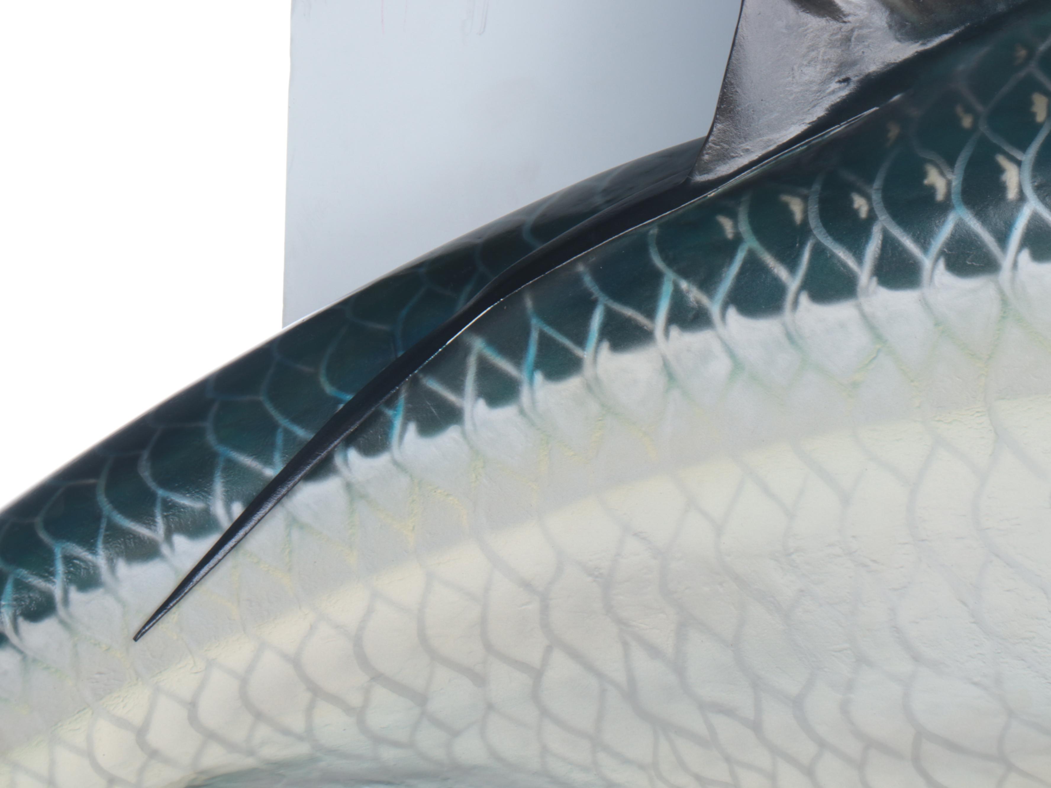 Atlantic Tarpon Fiberglass Gamefish Trophy Wall Mount