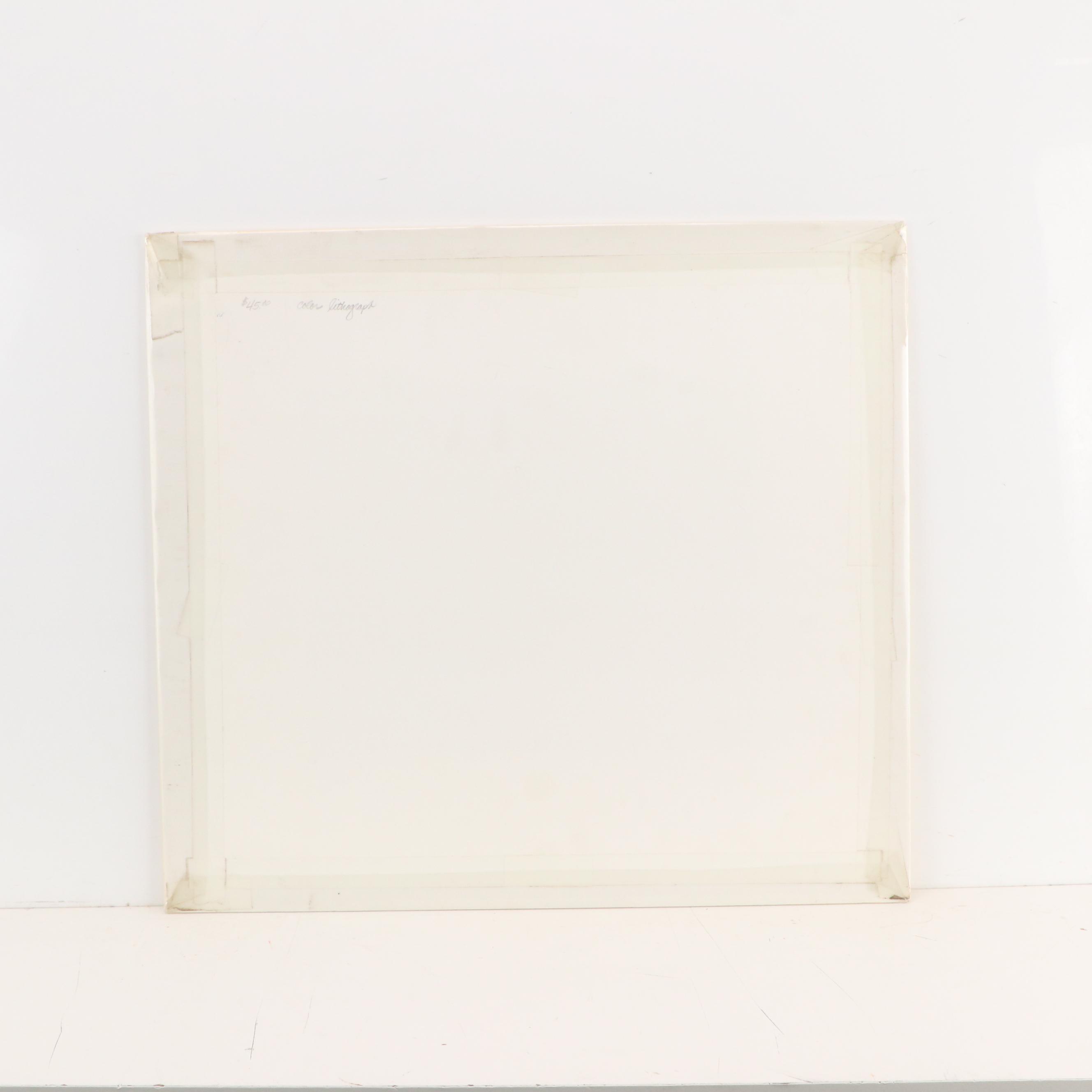 Special Geological Map of Pennsylvania Map "Bucks County," 1884