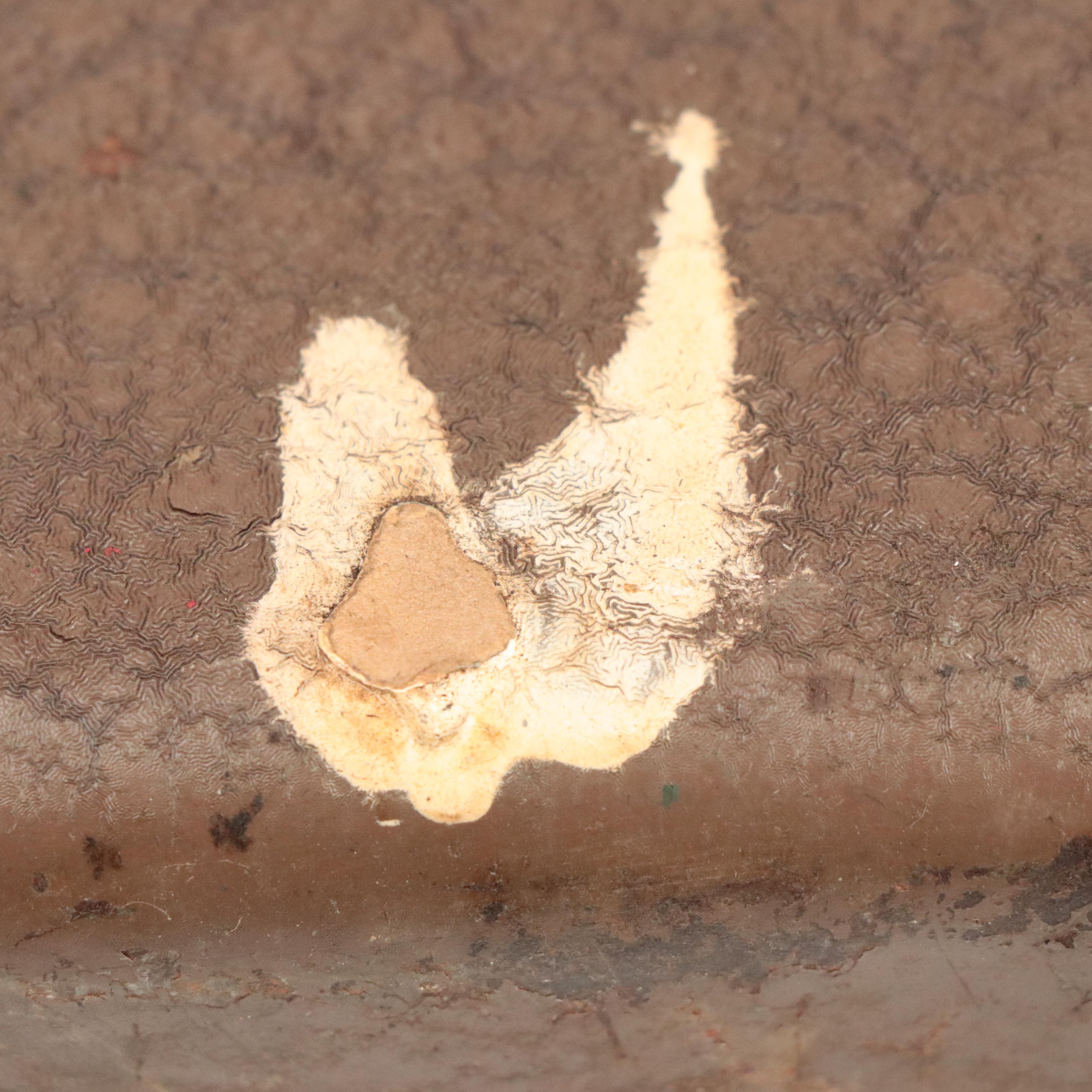 Jitterbug, Heddon Lucky 13, Creek Chub Injured Minnow & More Wood Fishing Lures