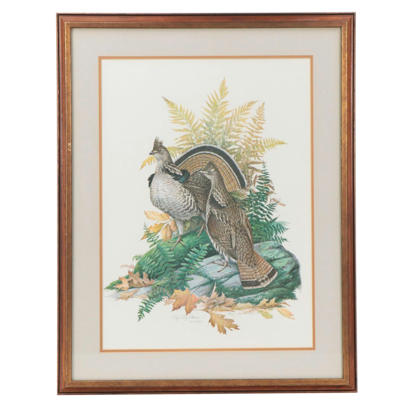 Roger Tory Peterson Offset Lithograph "Ruffed Grouse"