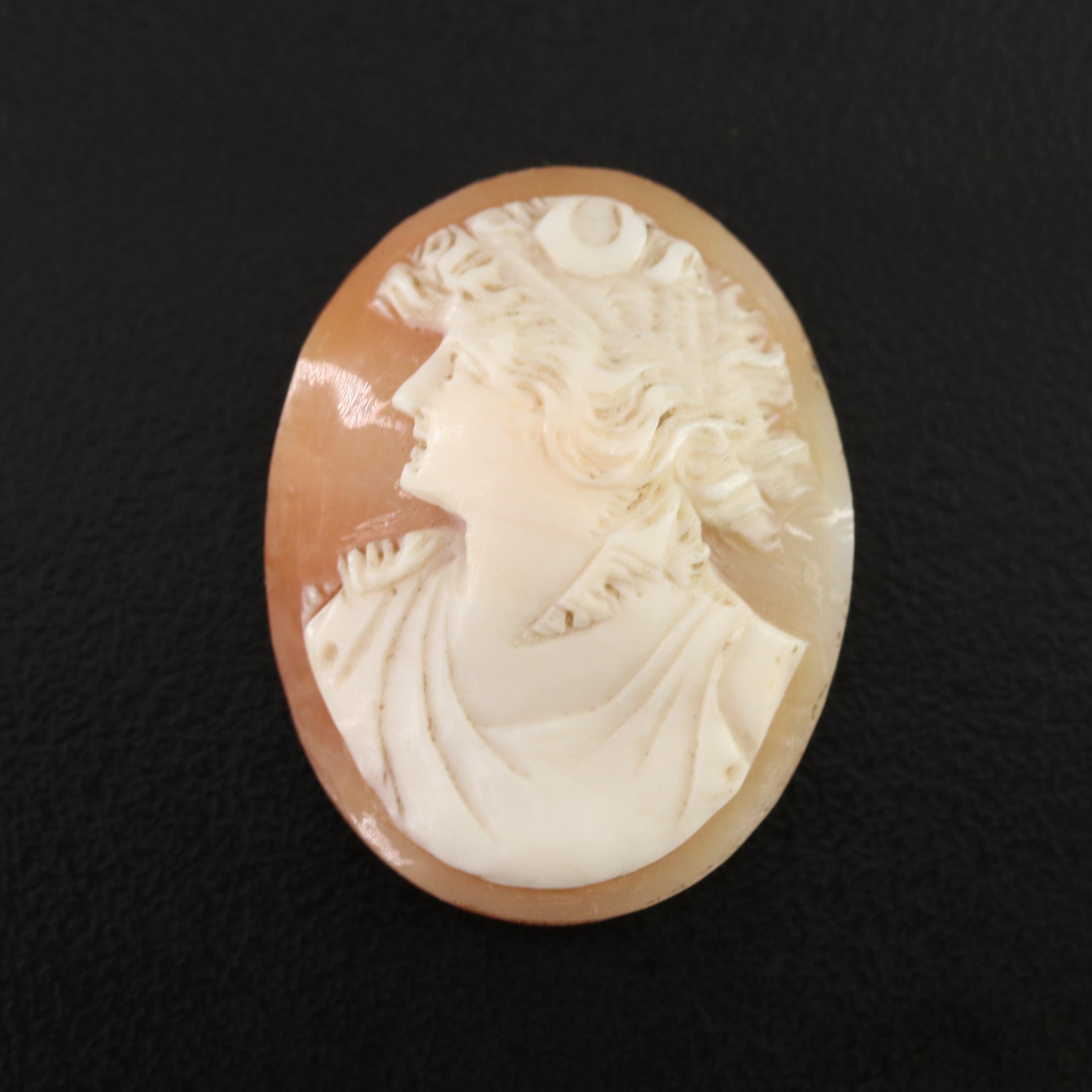 Loose Shell Cameo