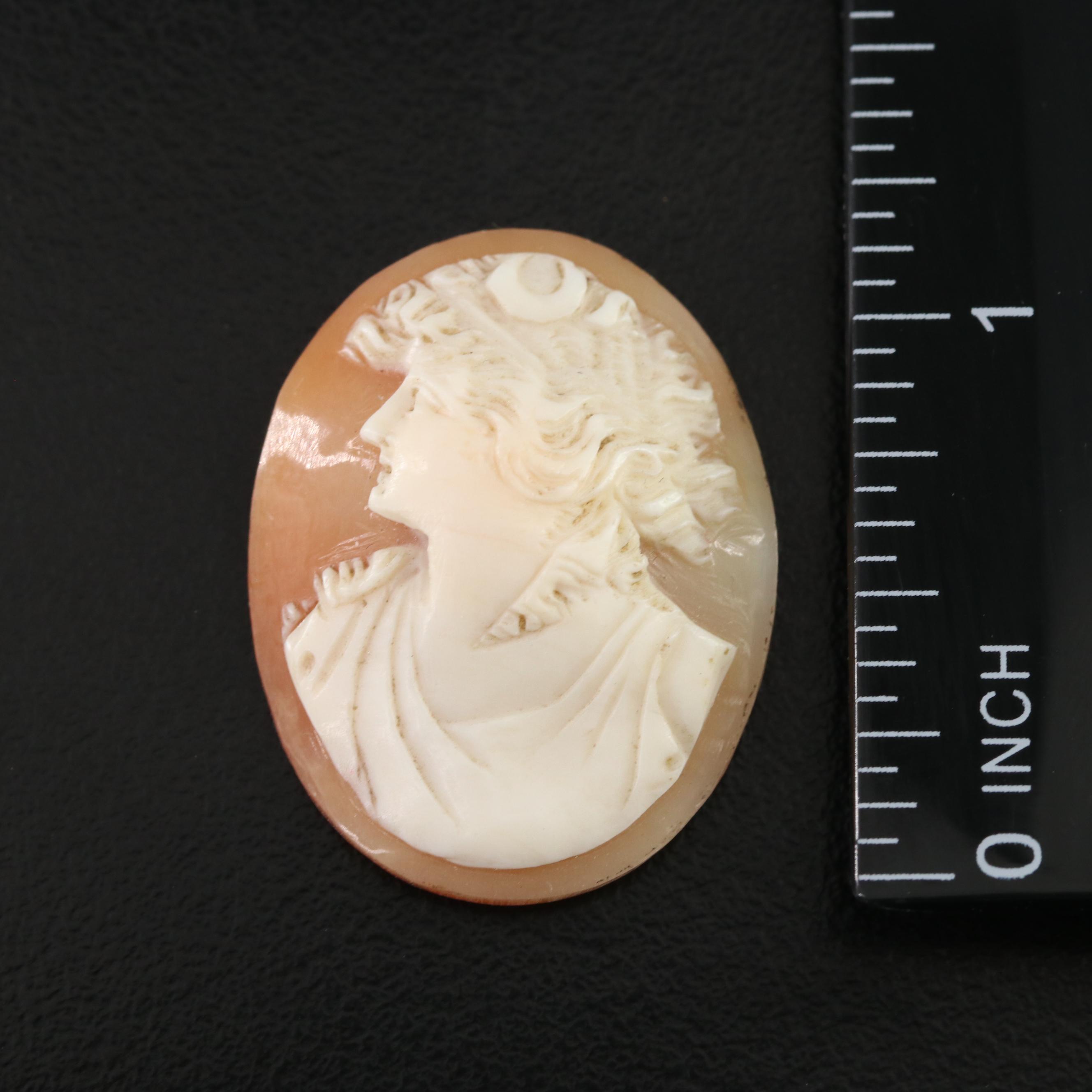 Loose Shell Cameo