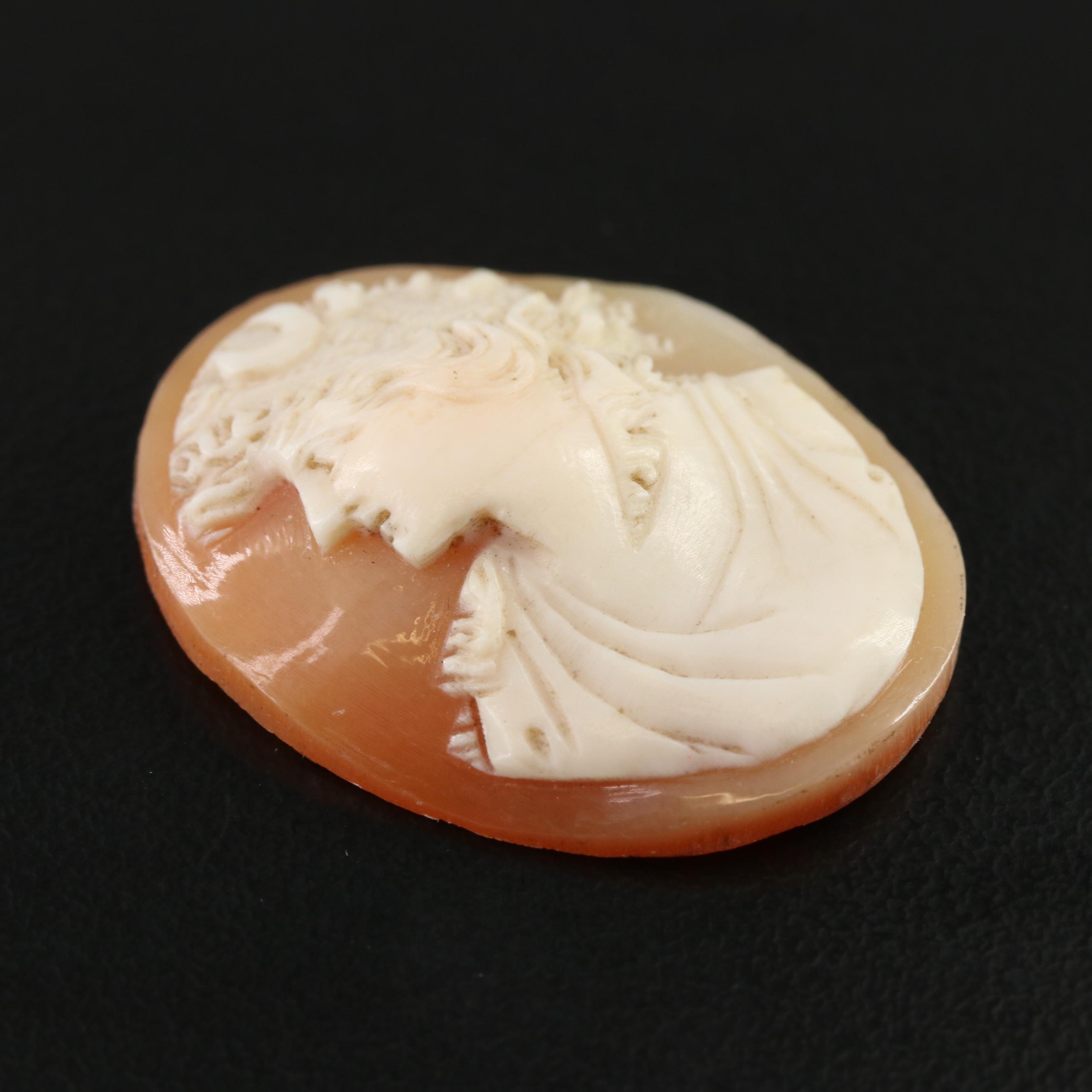 Loose Shell Cameo
