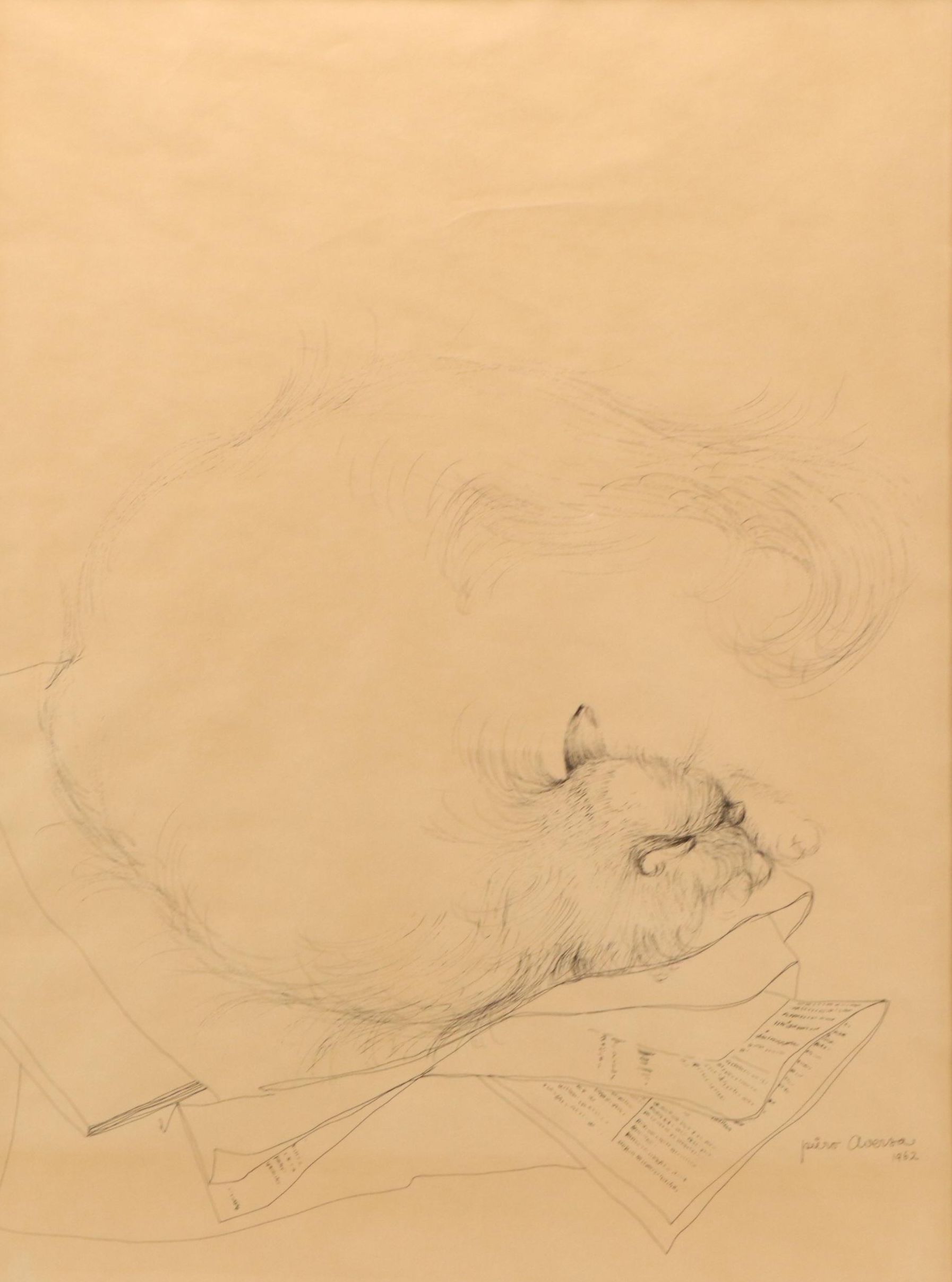 Piero Aversa Ink Drawing "The Literary Cat," 1962