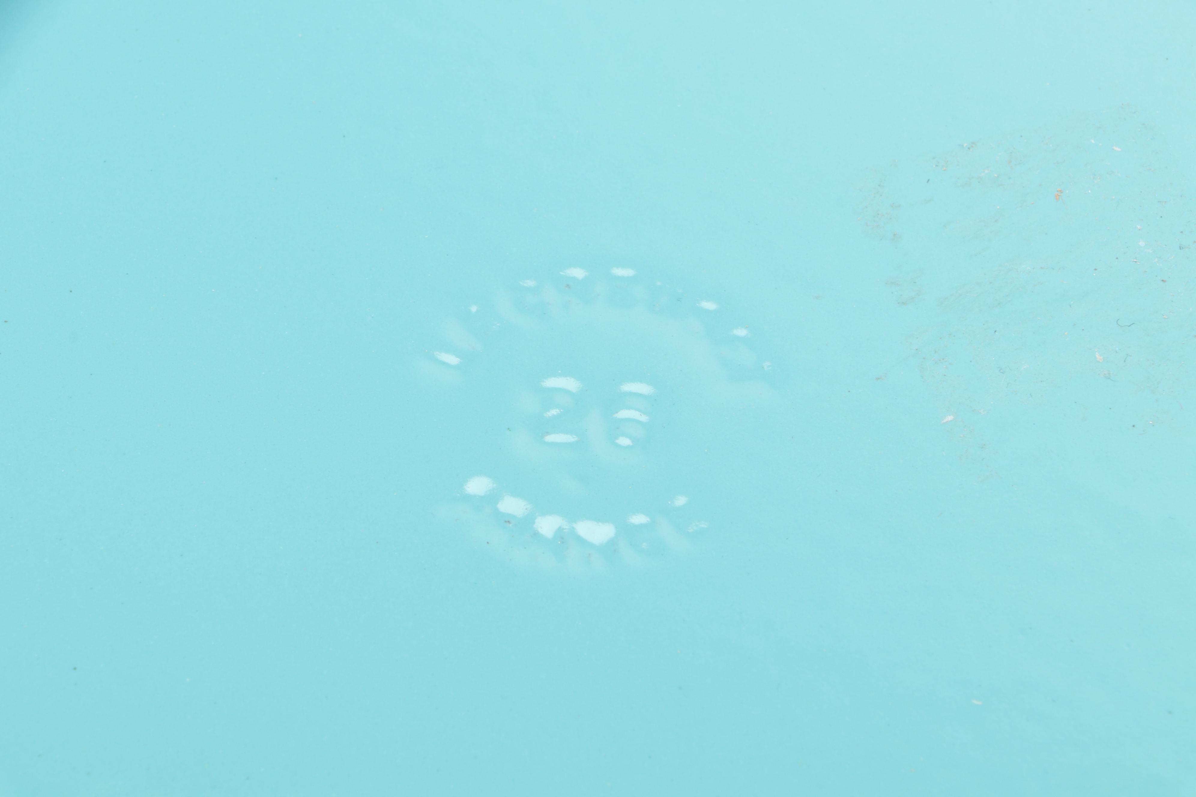 Le Creuset Caribbean 5.5 Qt. Enameled Cast Iron Dutch Oven