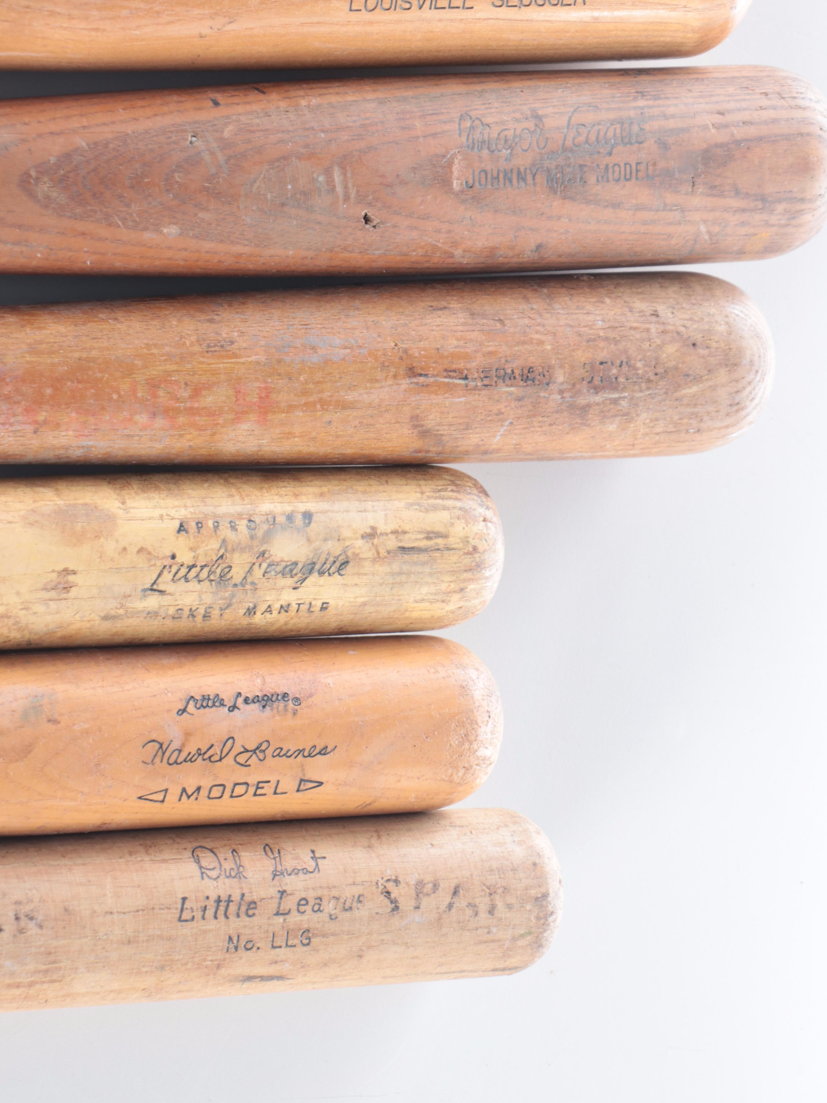 Louisville Slugger, Rawlings, Wilson, and Other Baseball Bats with More