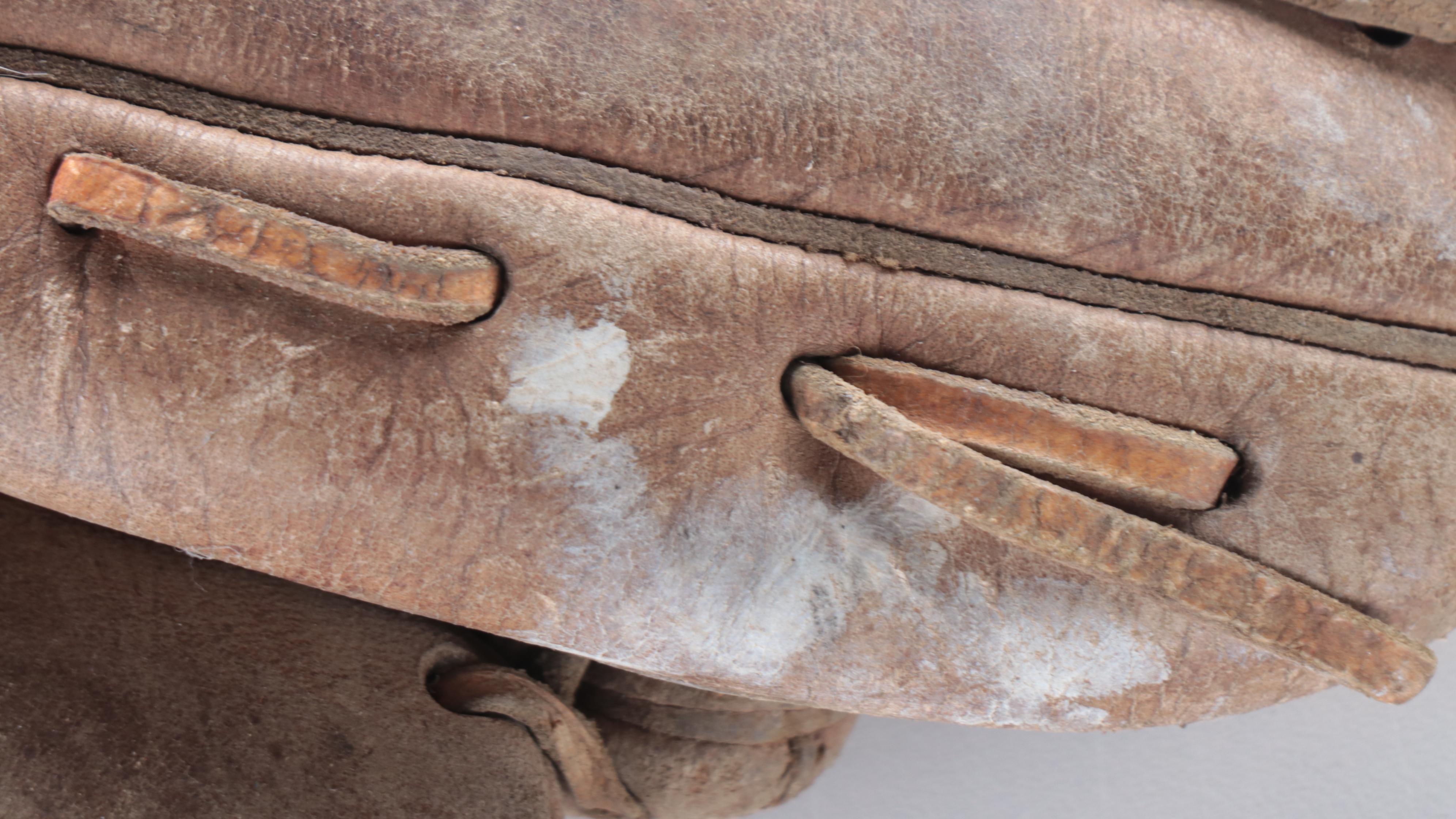 Louisville Slugger, Rawlings, Wilson, and Other Baseball Bats with More