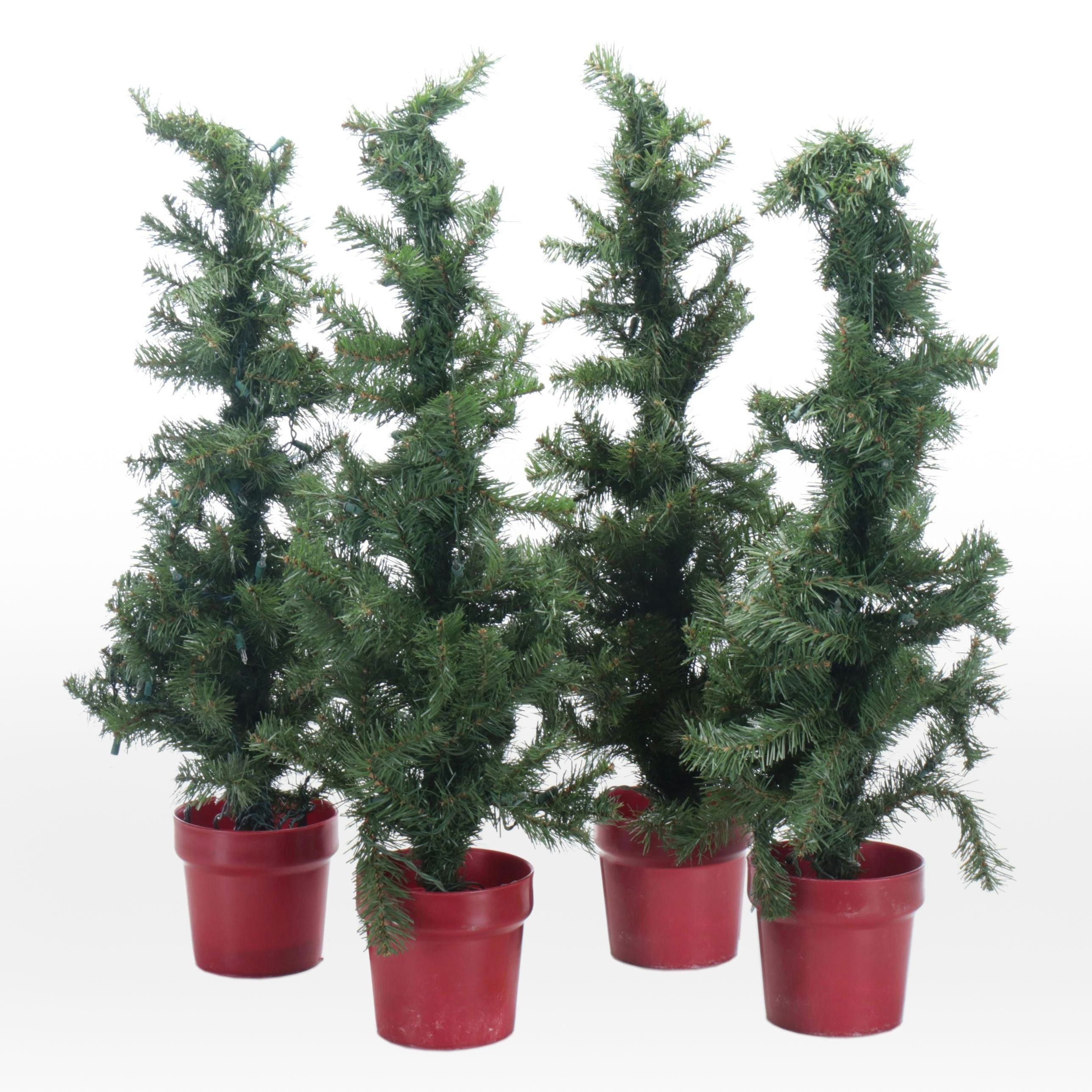 Set of Four Miniature Illuminated Evergreen Trees
