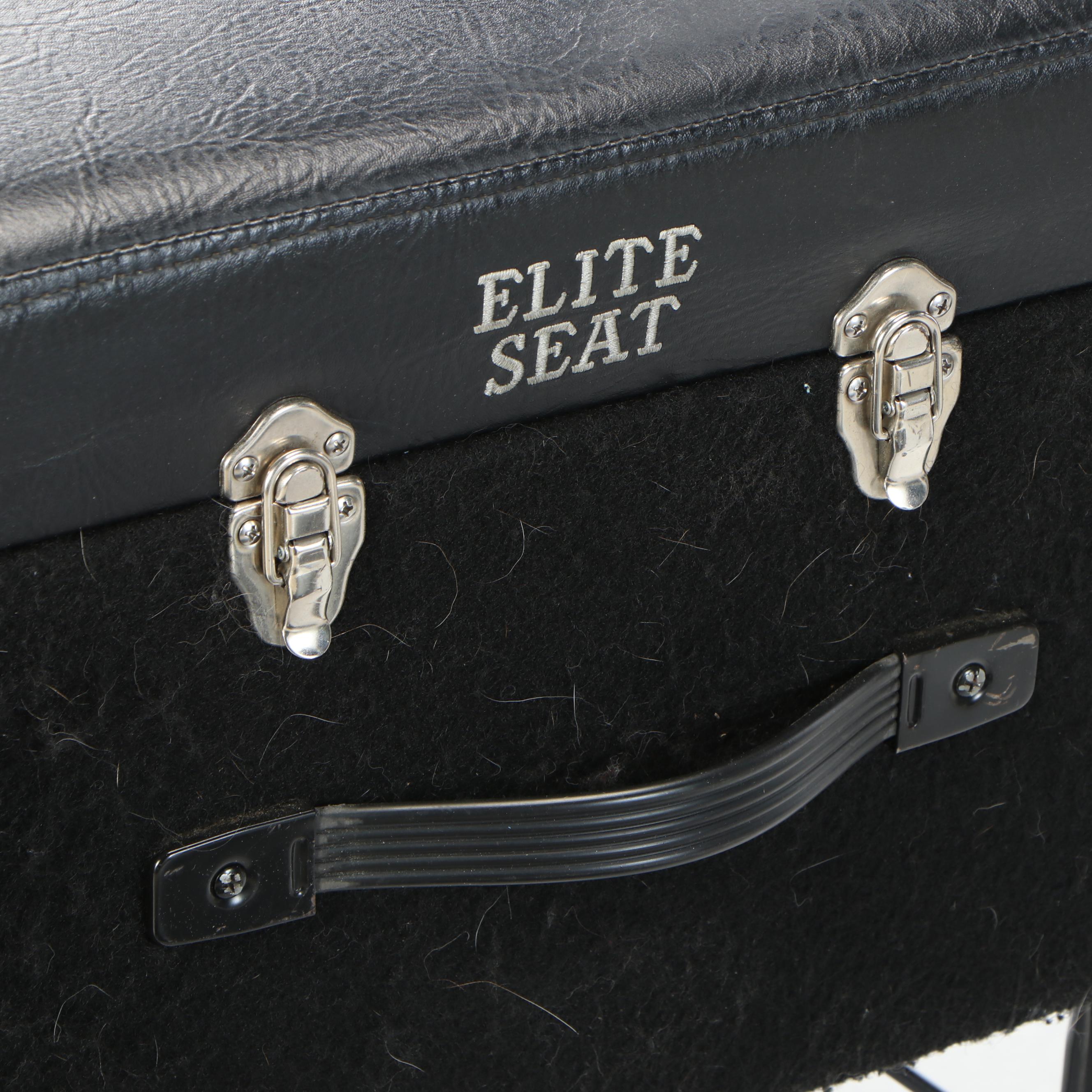 SGI St. Louis Ten-String Pedal Steel Guitar with Case, Elite Seat and More