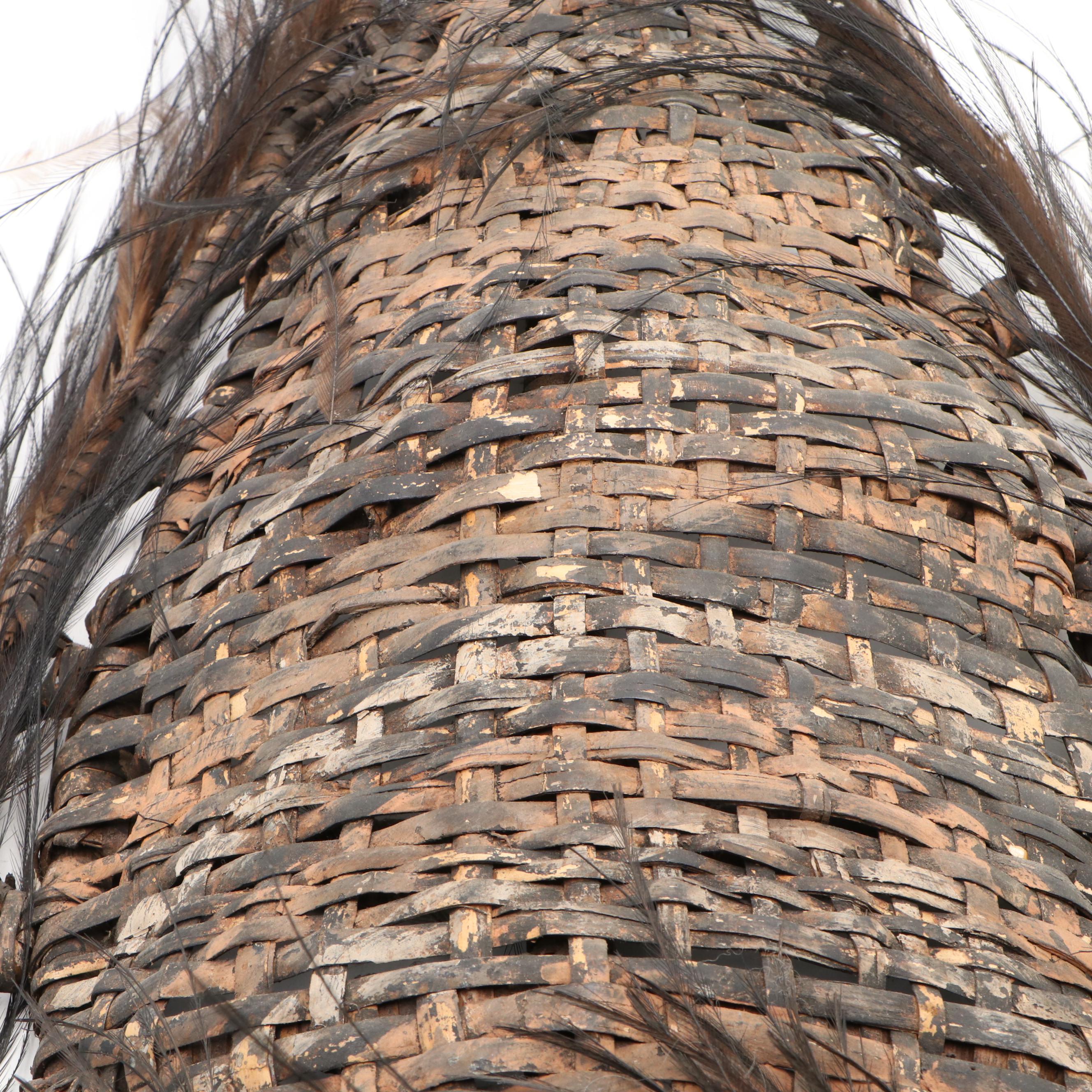 Biwat Village, Sepik River PNG Cassowary Feather and Wicker Spirit Mask