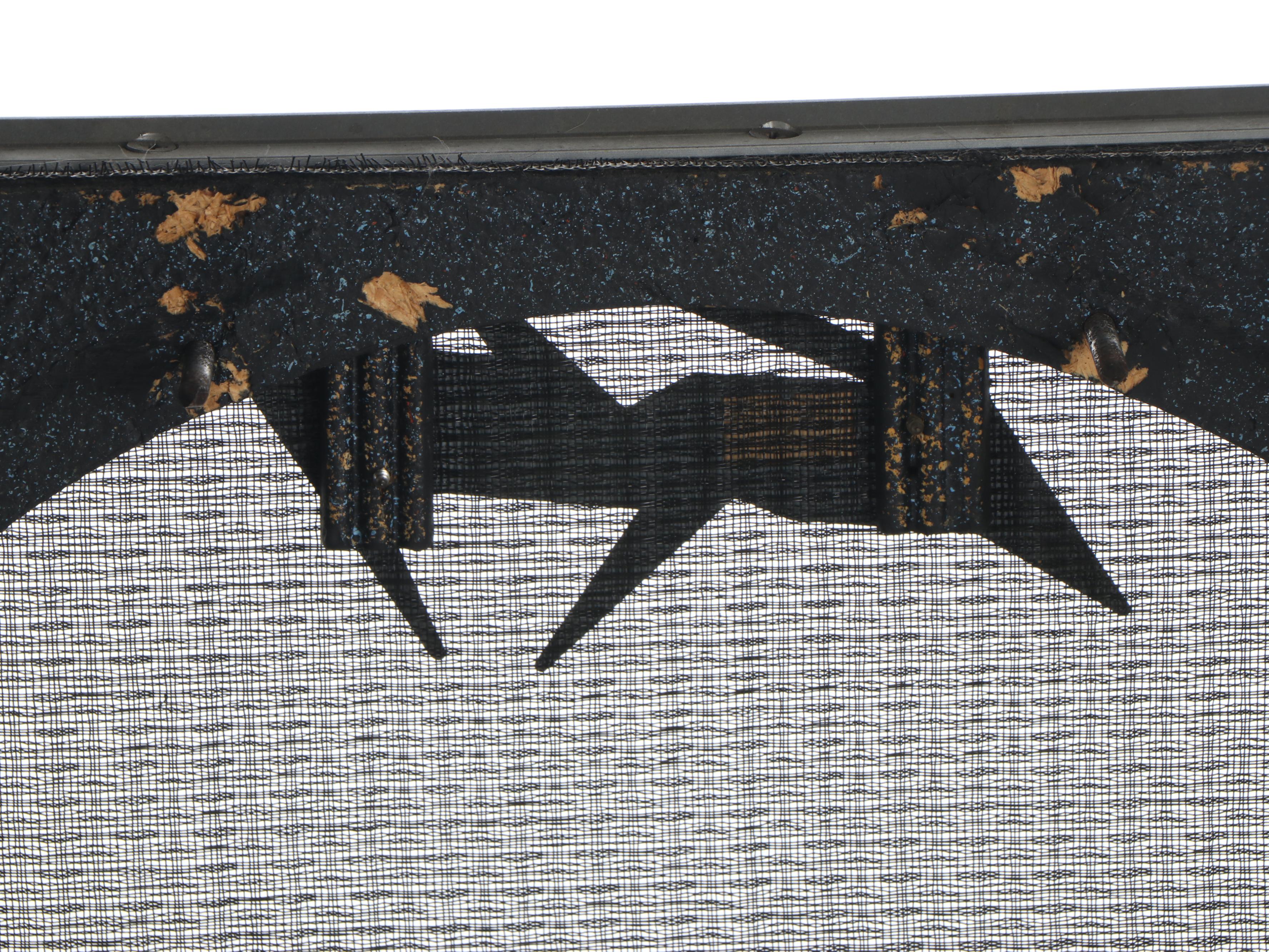 Peavey Nashville-112 Amplifier with Peavey Amp Cabinet