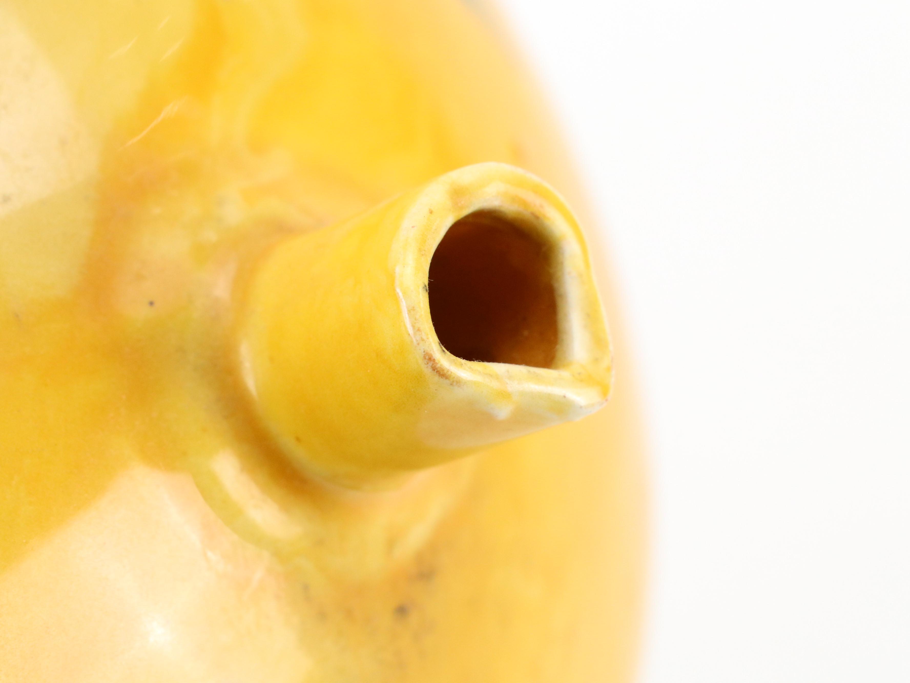 Ceramiche Virginia Terracotta Jug with Sheldon Carey Style Ceramic Vase