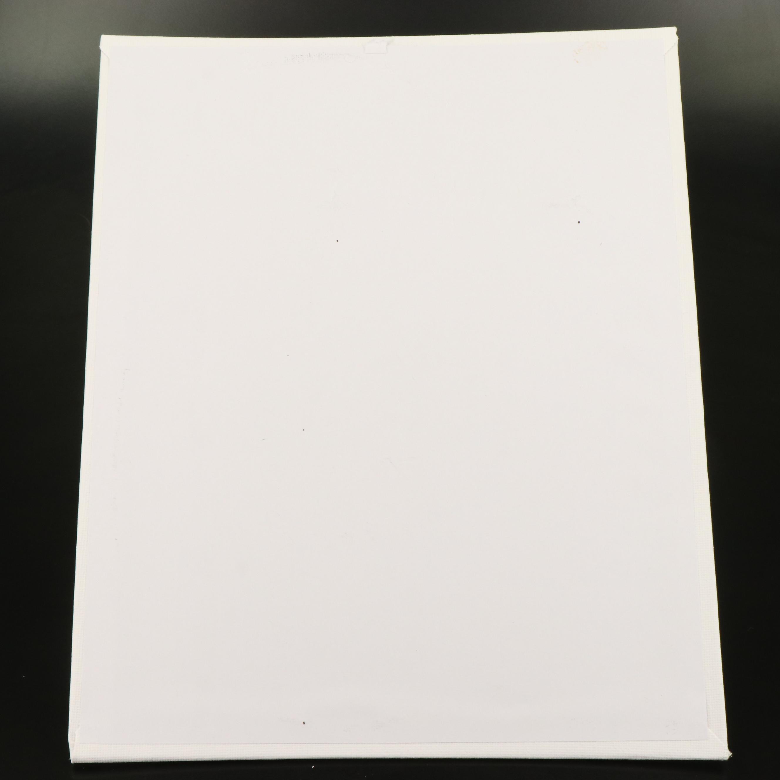 Peter Robert Keil Stylized Acrylic Portrait