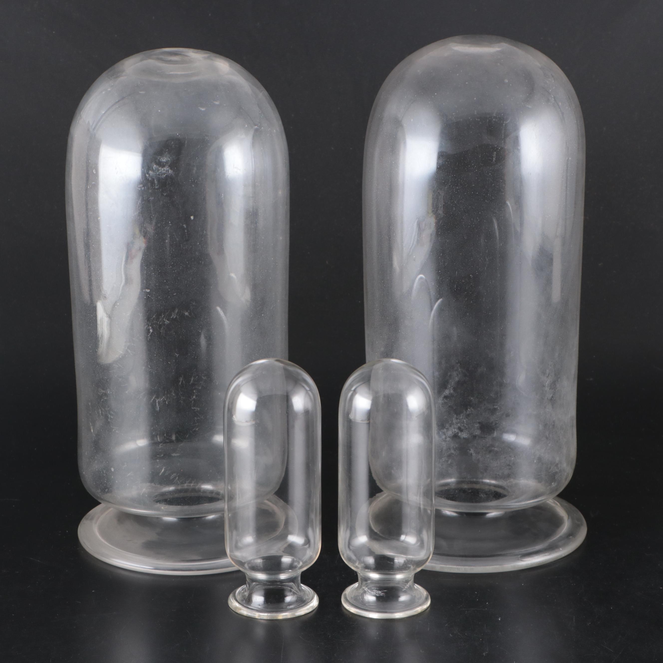 Glass Apothecary Cloche Domes