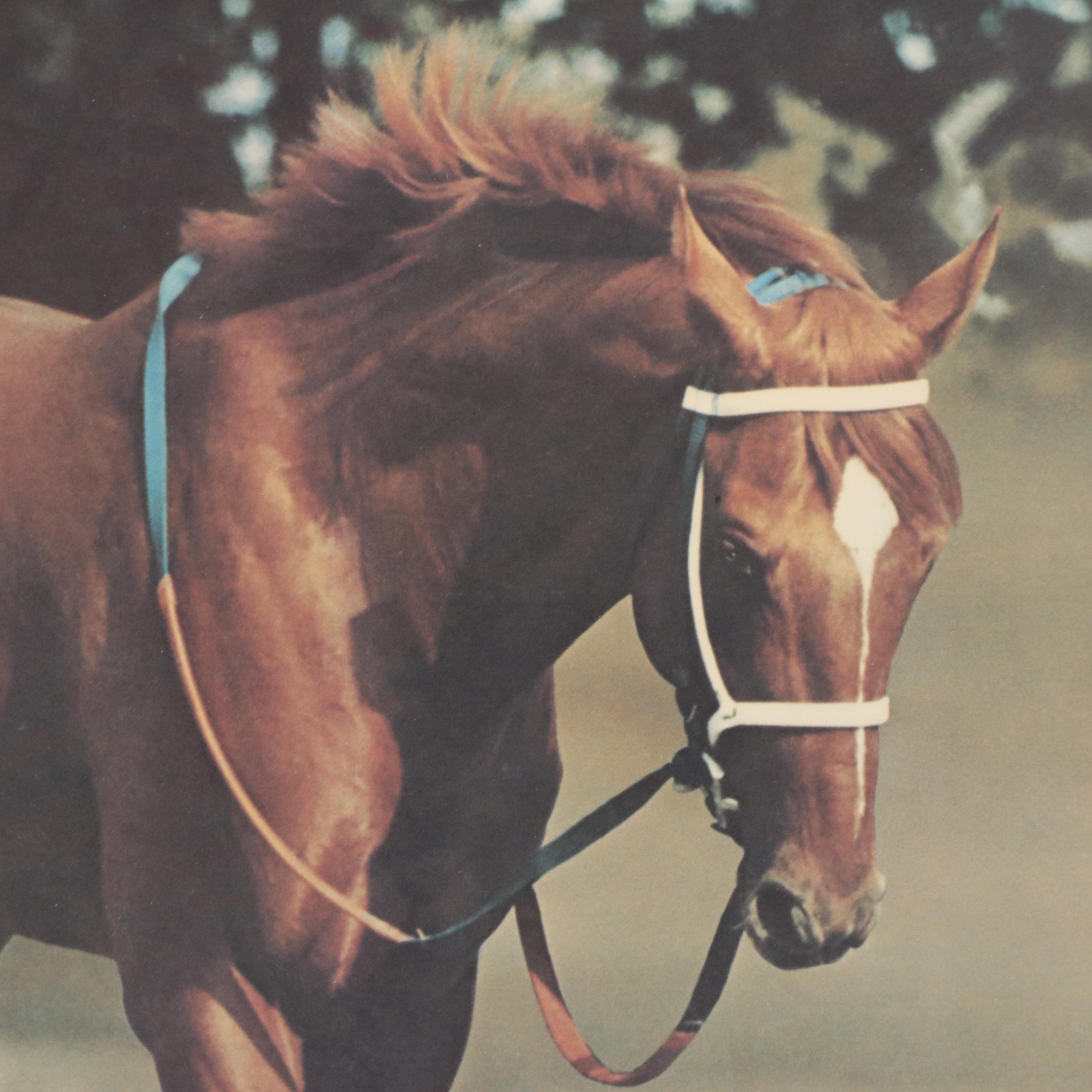 Tony Leonard Offset Lithograph "Secretariat: At the Belmont," 1973