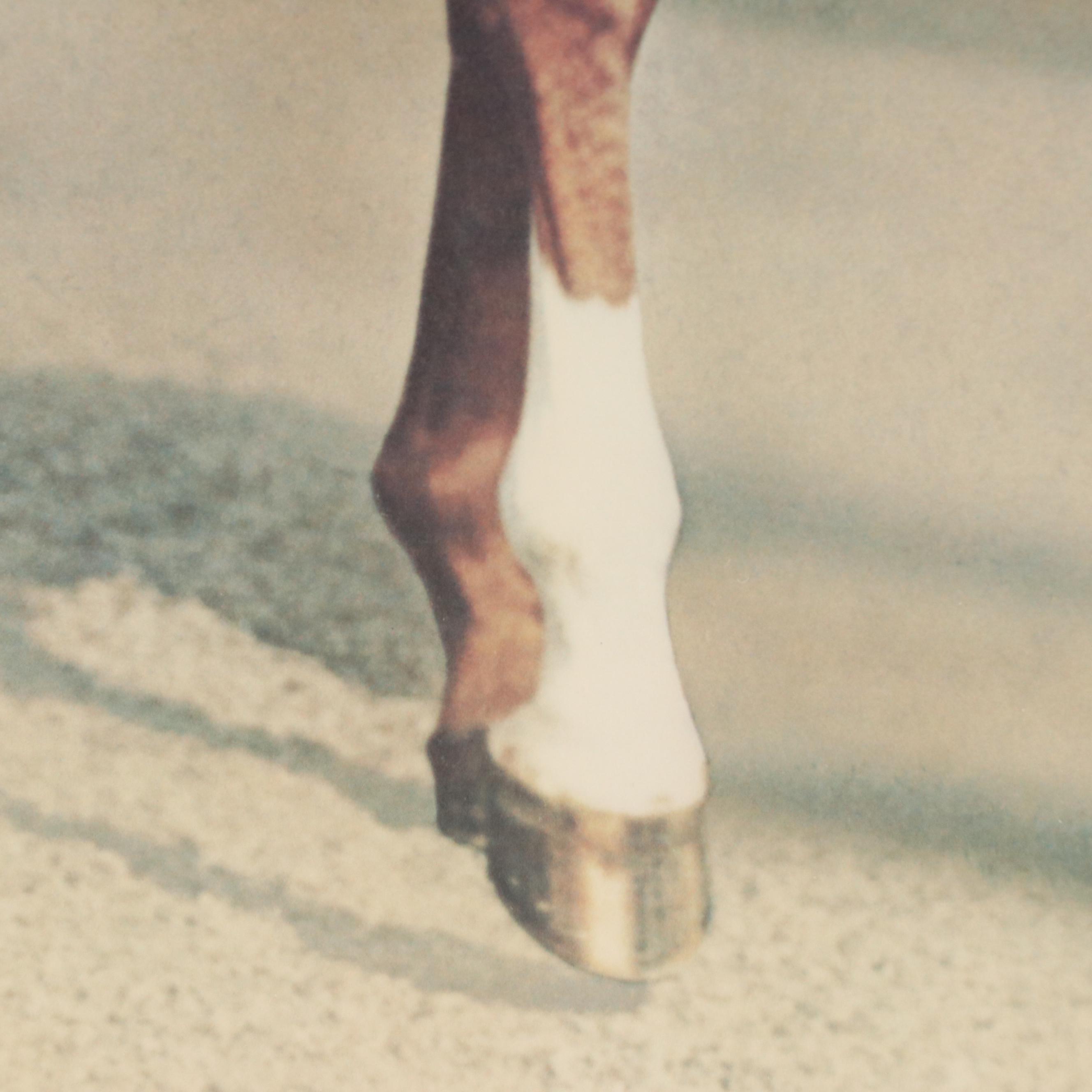 Tony Leonard Offset Lithograph "Secretariat: At the Belmont," 1973