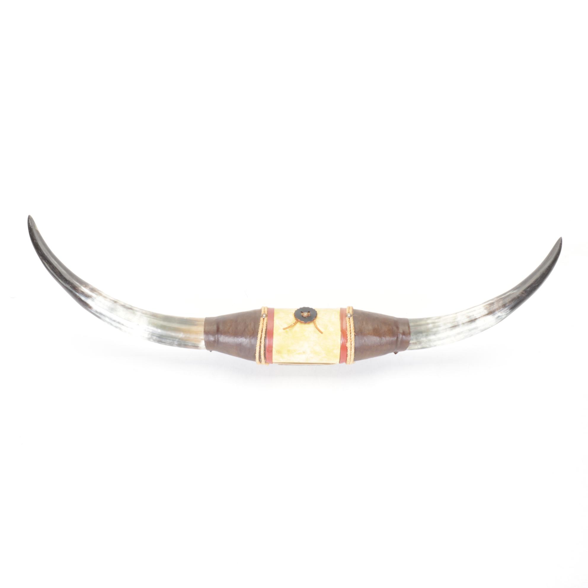 Wall Mounted Steer Horns