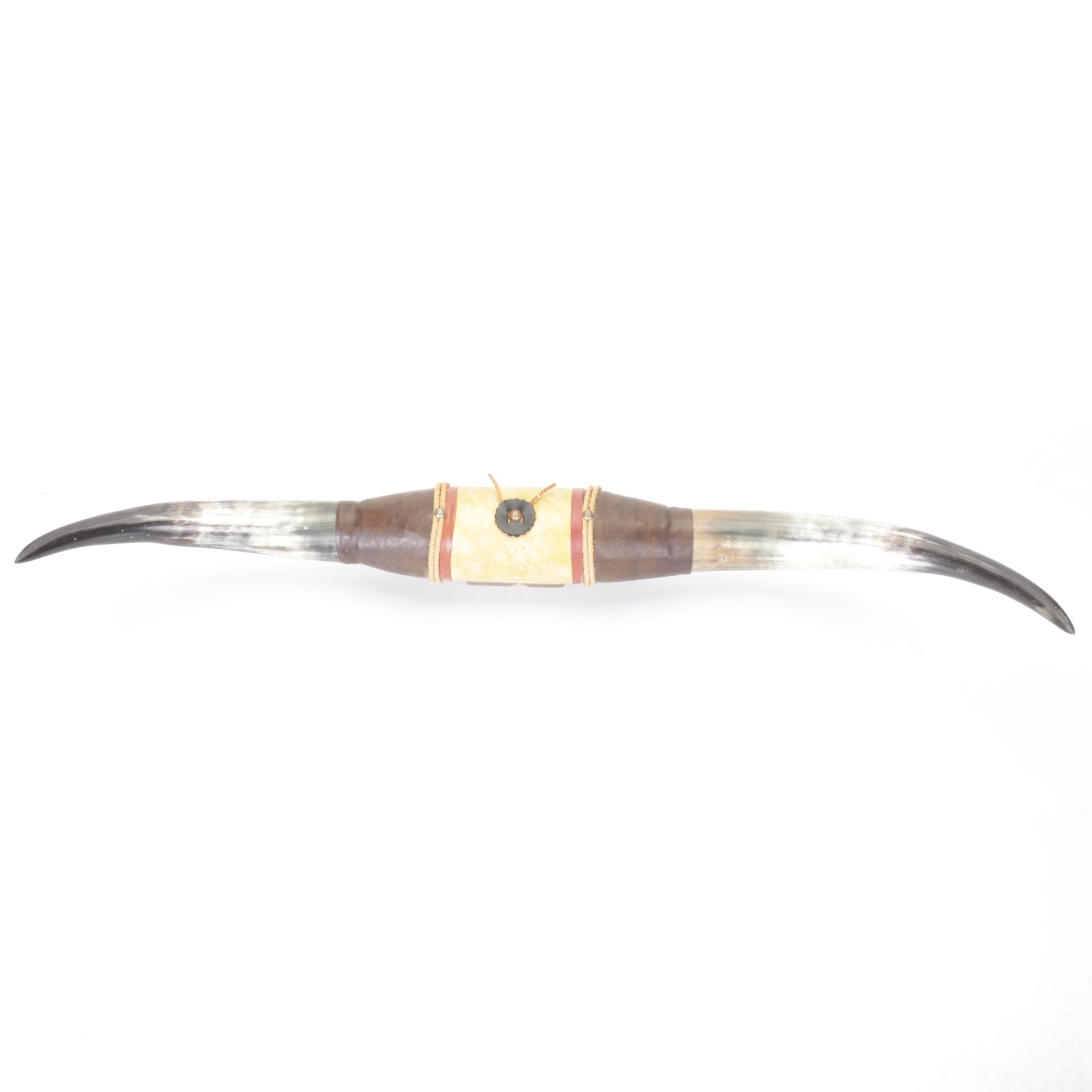 Wall Mounted Steer Horns