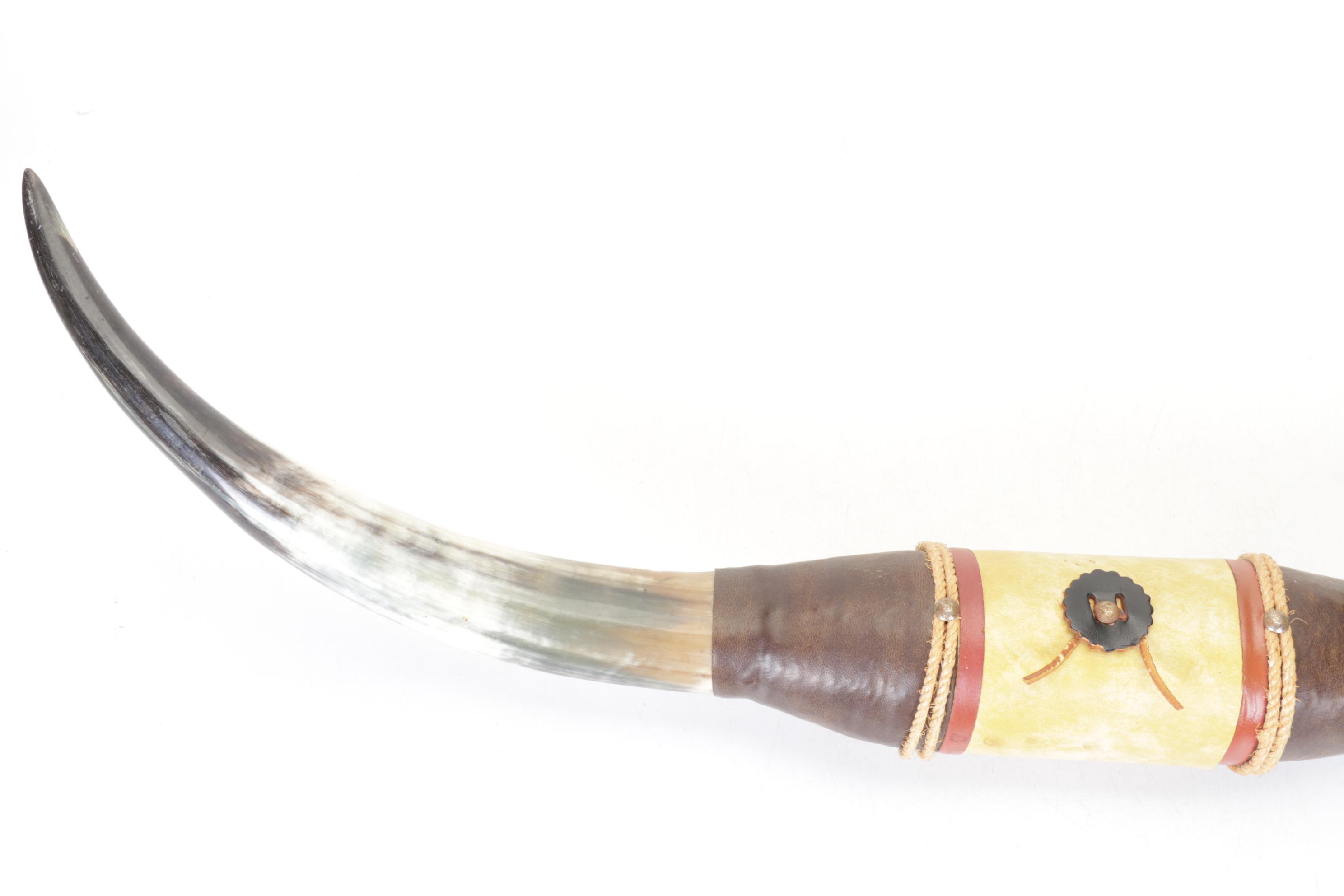 Wall Mounted Steer Horns