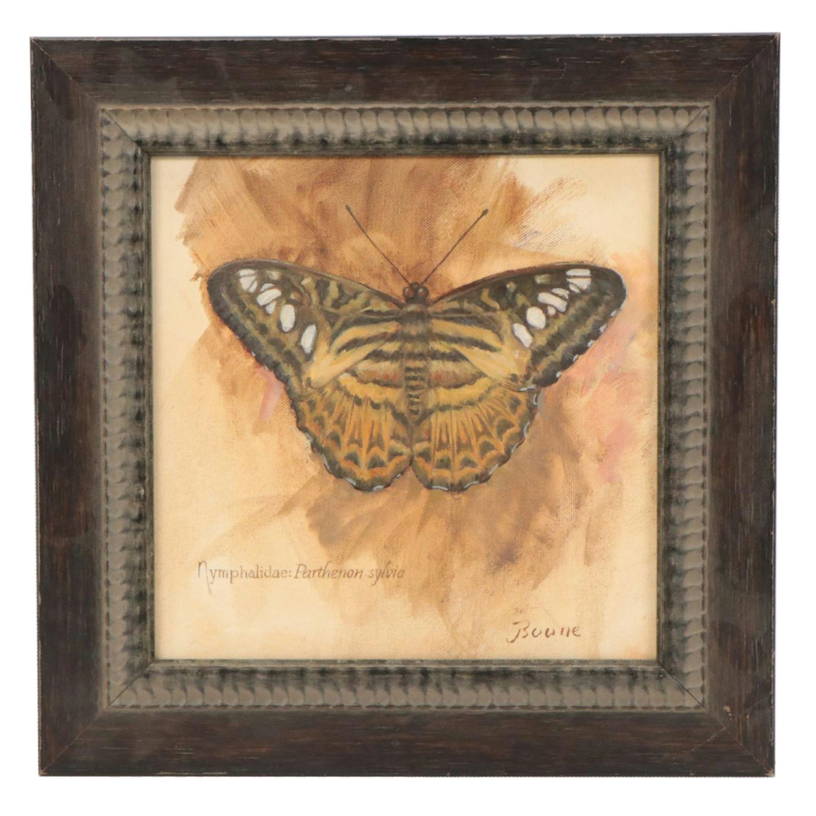 Ken Boone Oil Painting of Butterfly "Nymphalidae: Parthenon sylvia"