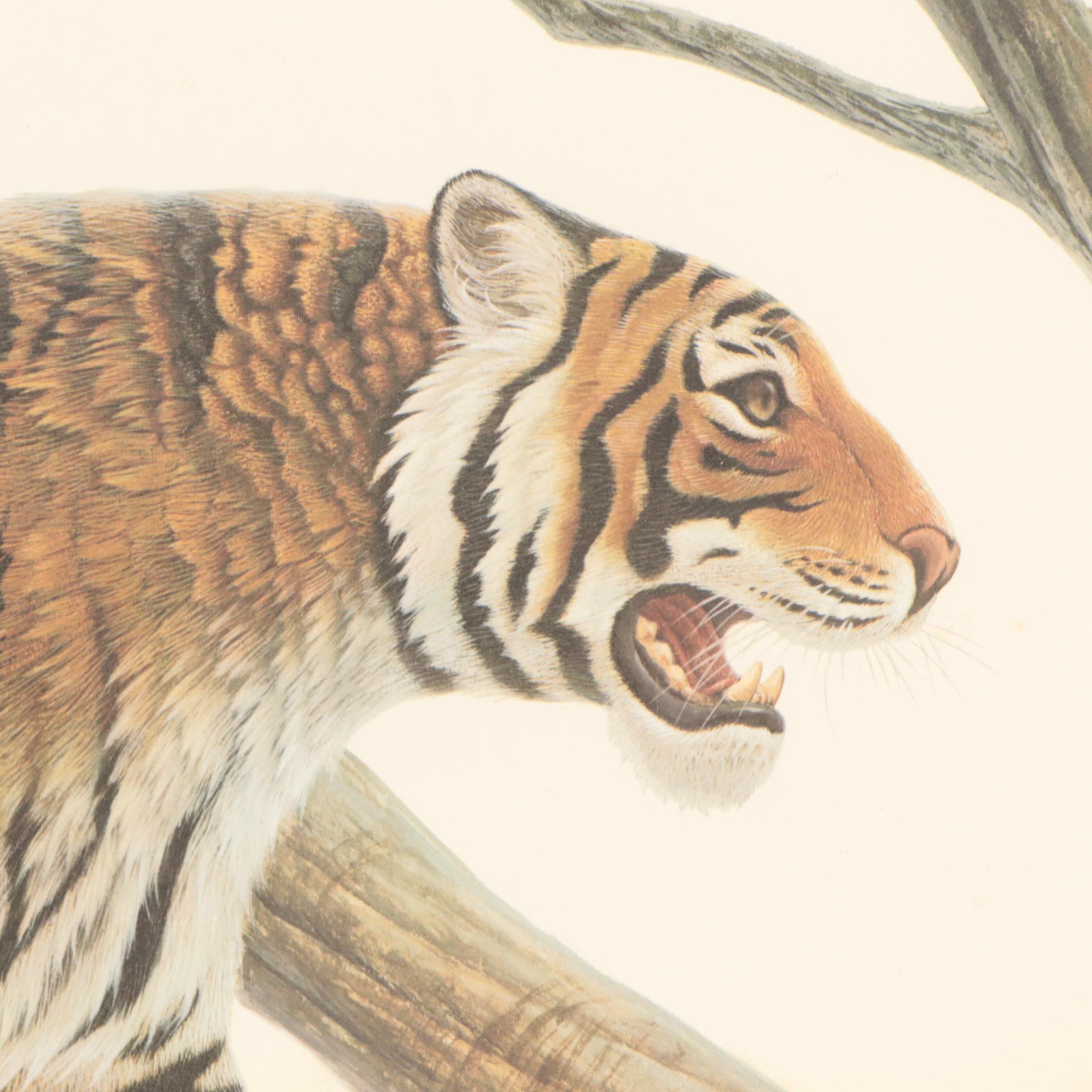 John A. Ruthven Offset Lithograph "Bengal Tiger"