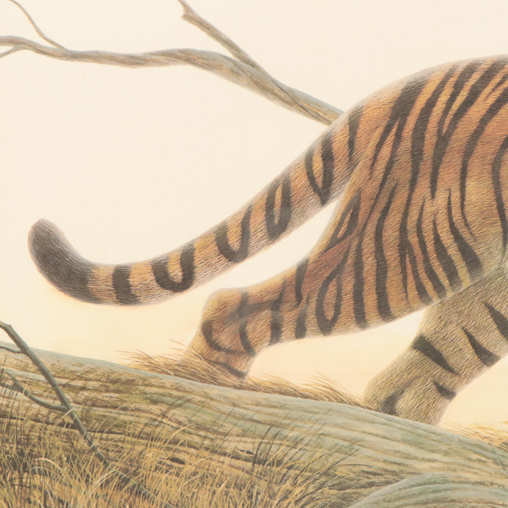 John A. Ruthven Offset Lithograph "Bengal Tiger"
