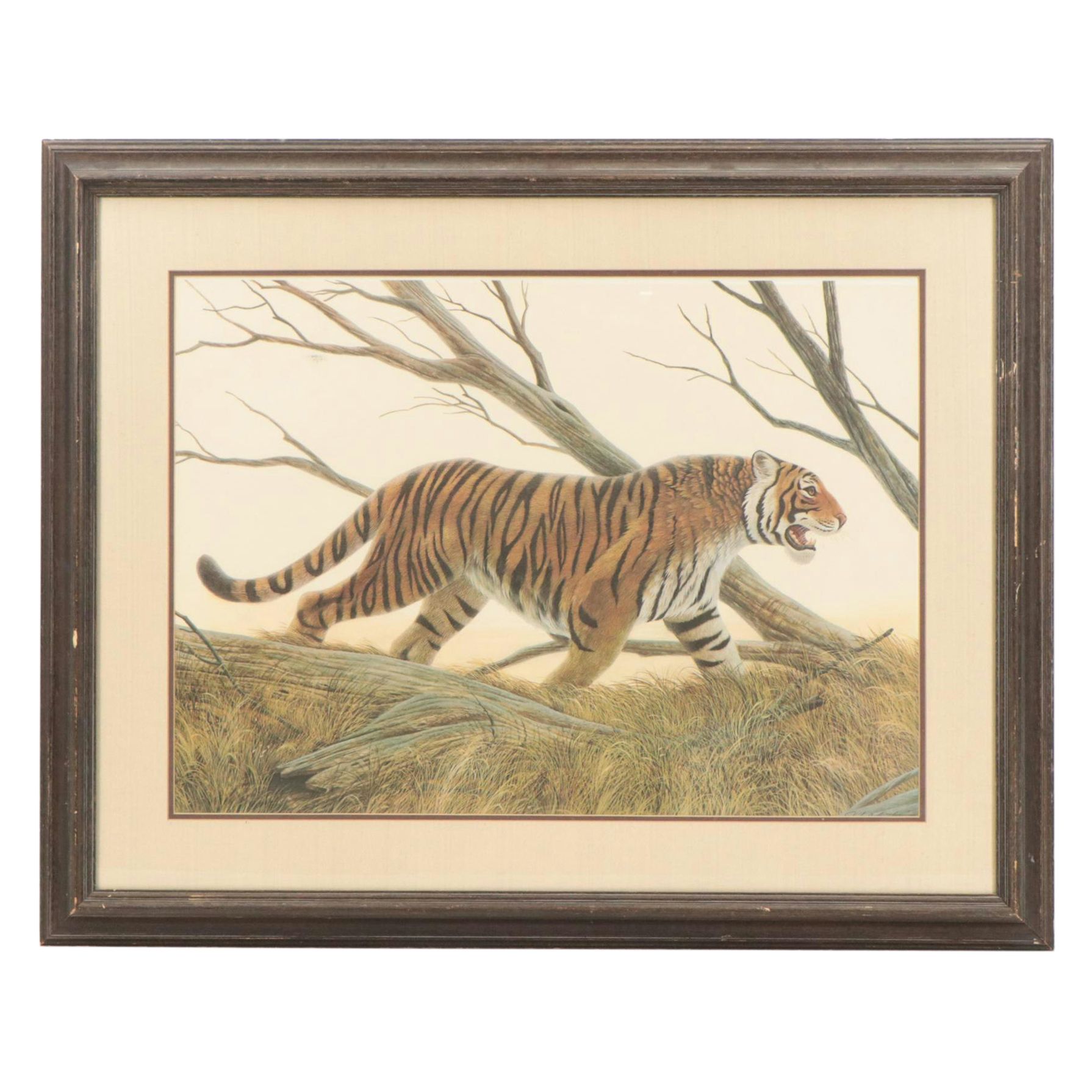 John A. Ruthven Offset Lithograph "Bengal Tiger"