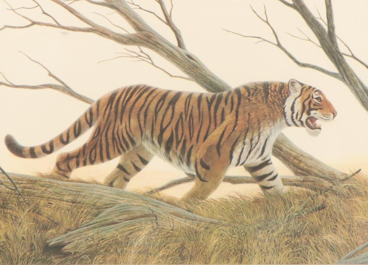 John A. Ruthven Offset Lithograph "Bengal Tiger"
