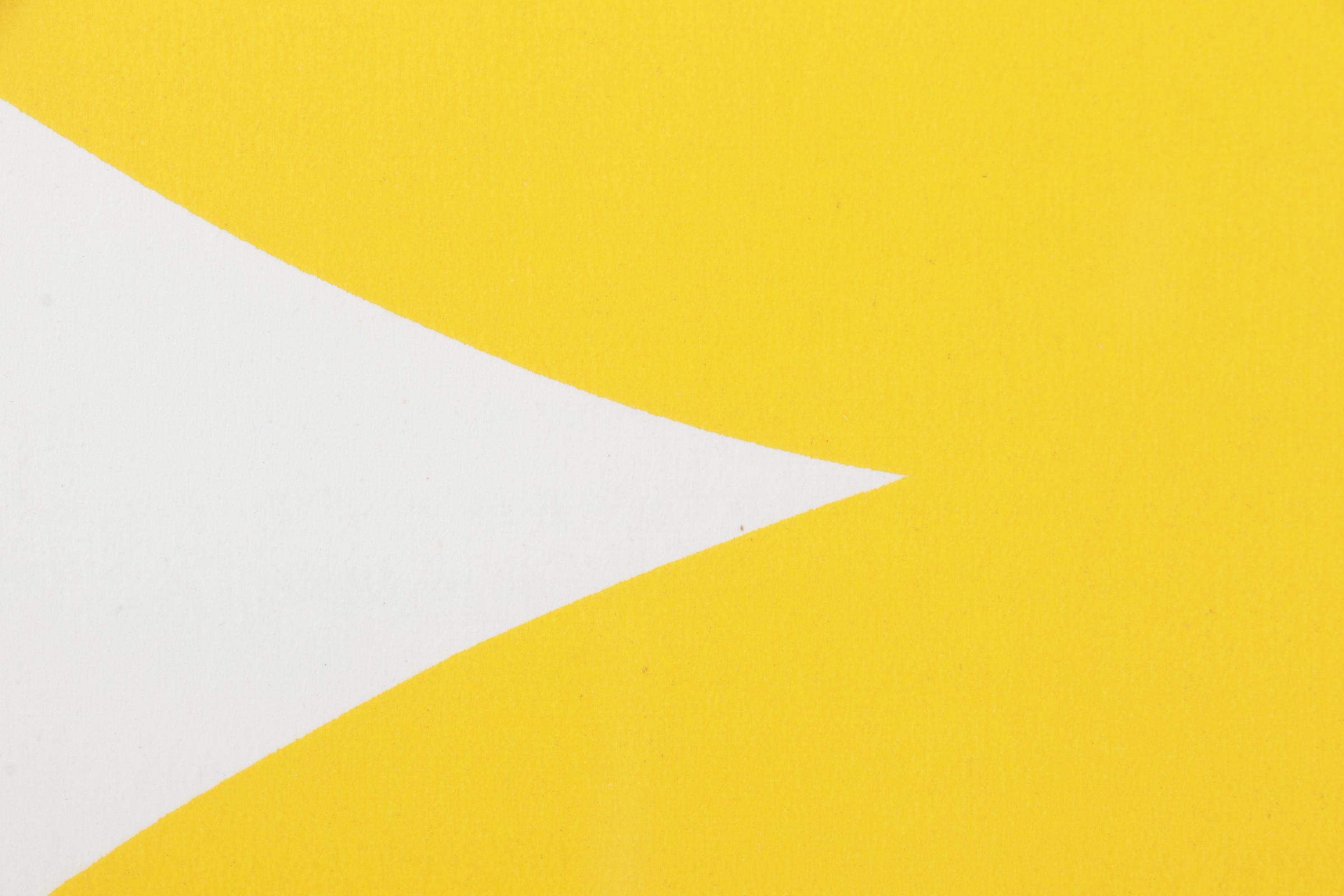 Ellsworth Kelly Lithograph for "Derrière le Miroir," 1958