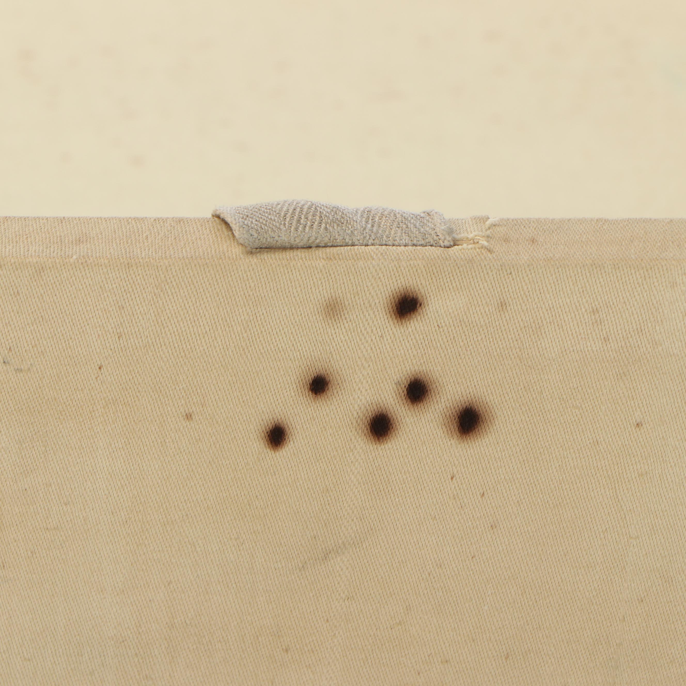 Antique Goyard Courier Style Trunk in Chevron Goyardine Canvas, Circa 1910