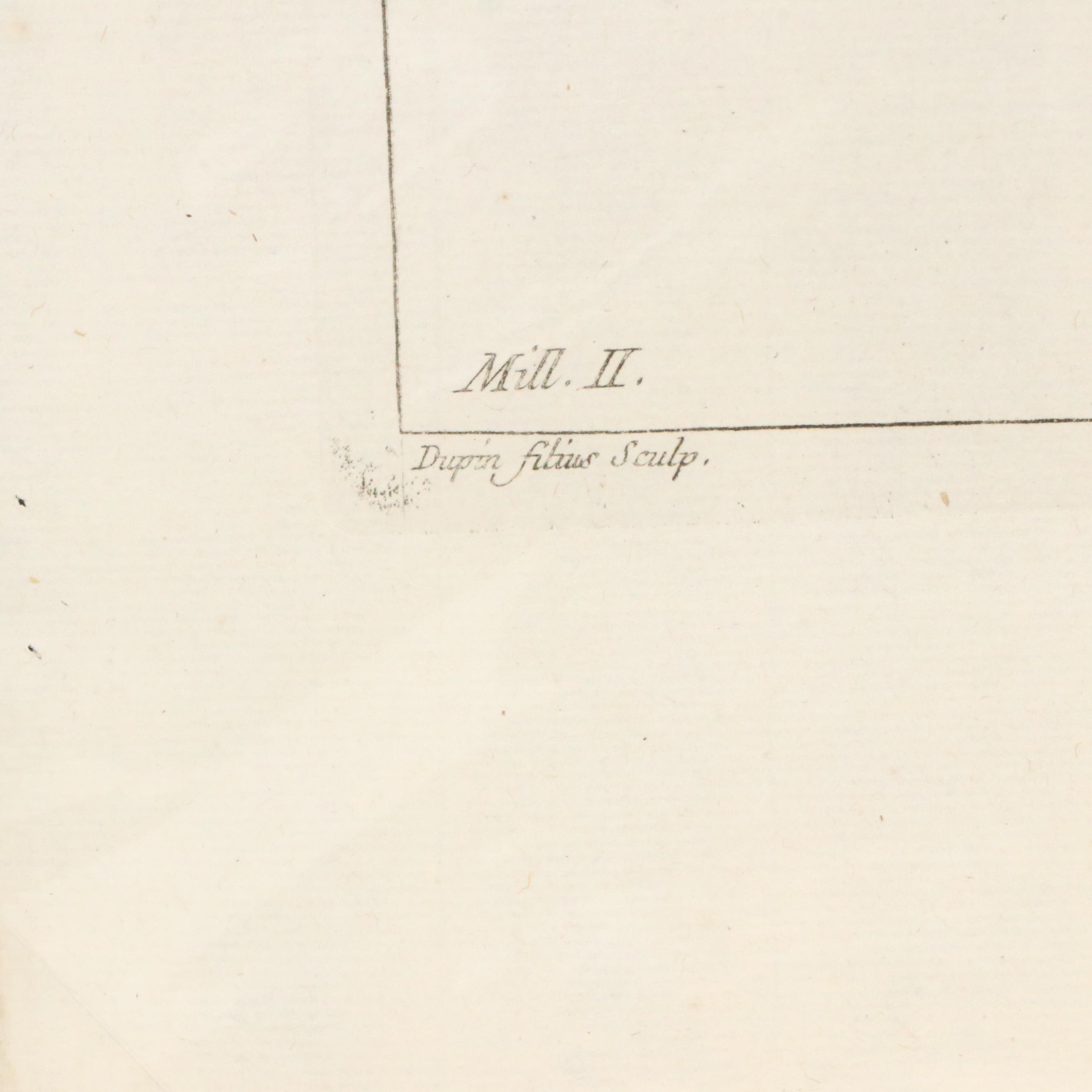 Botanical Hand-Colored Engraving After Pierre-Joseph Buchoz