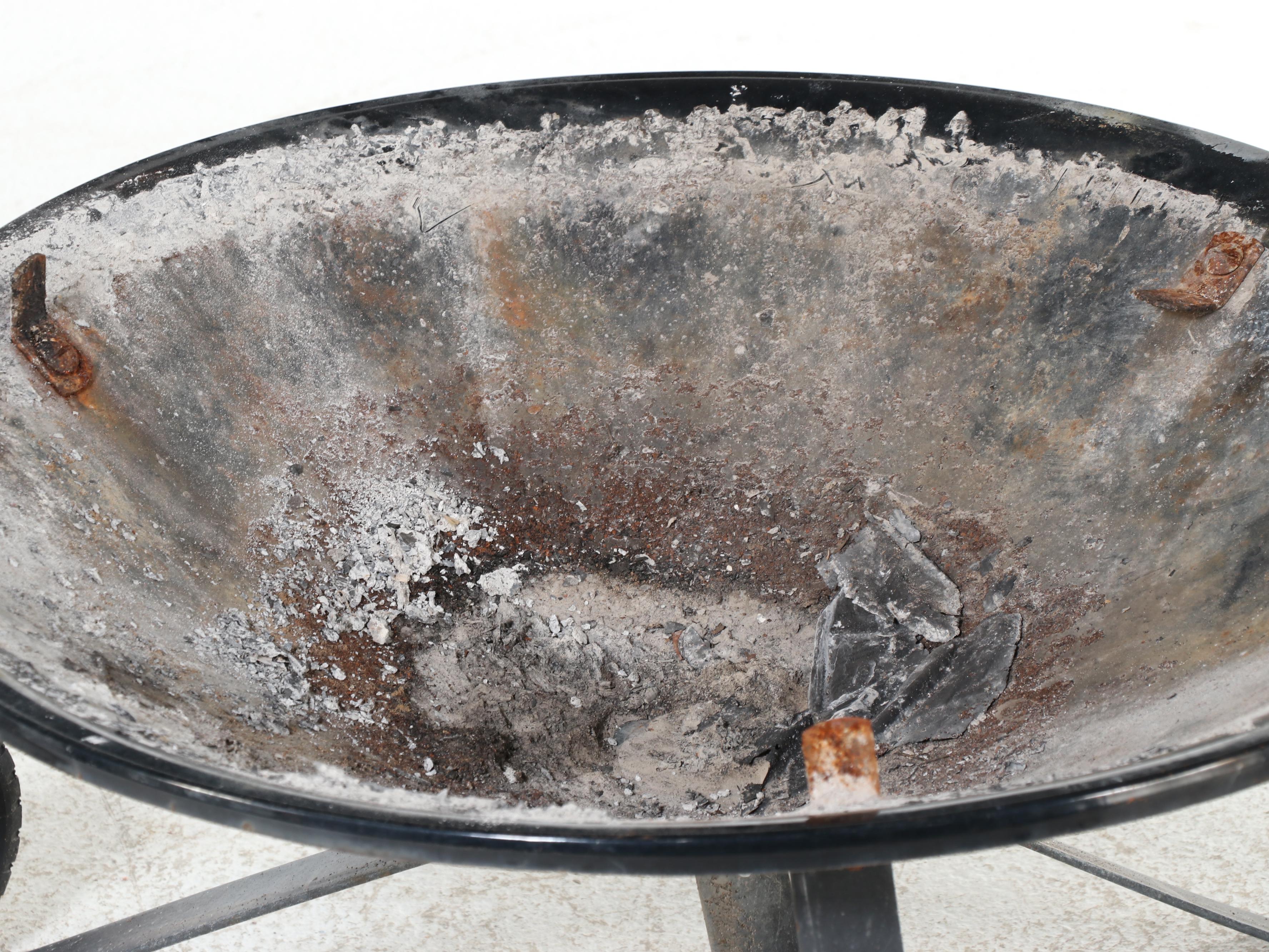 Whalen Portable Outdoor Fire Pit