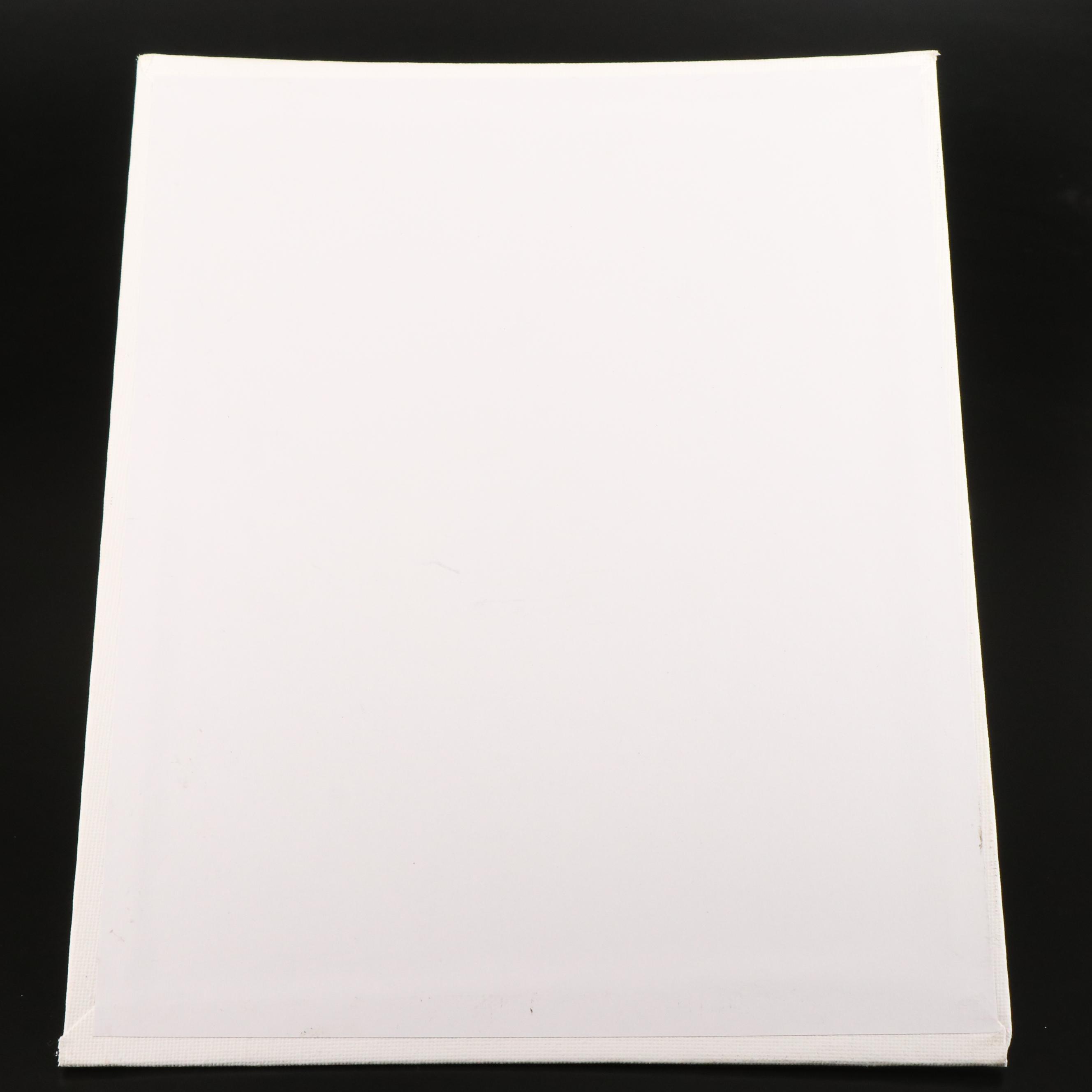 Peter Robert Keil Stylized Acrylic Portrait