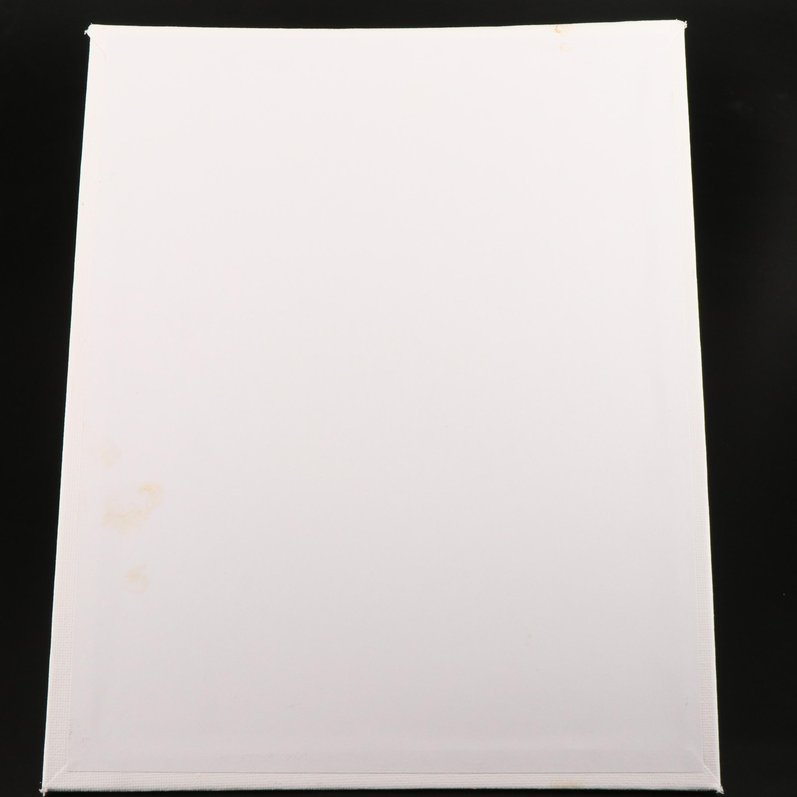 Peter Robert Keil Stylized Acrylic Portrait